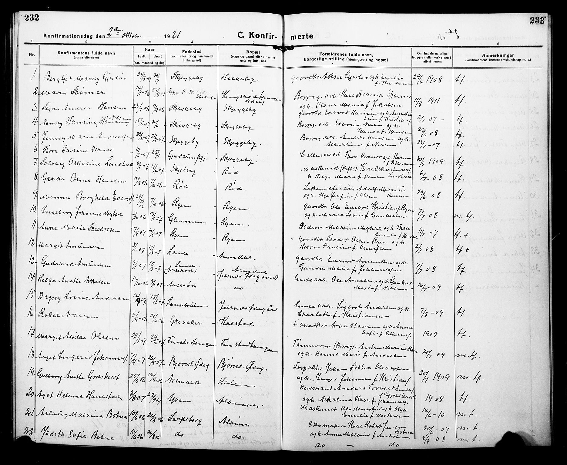 Tune prestekontor Kirkebøker, AV/SAO-A-2007/G/Ga/L0004: Parish register (copy) no. I 4, 1919-1928, p. 232-233