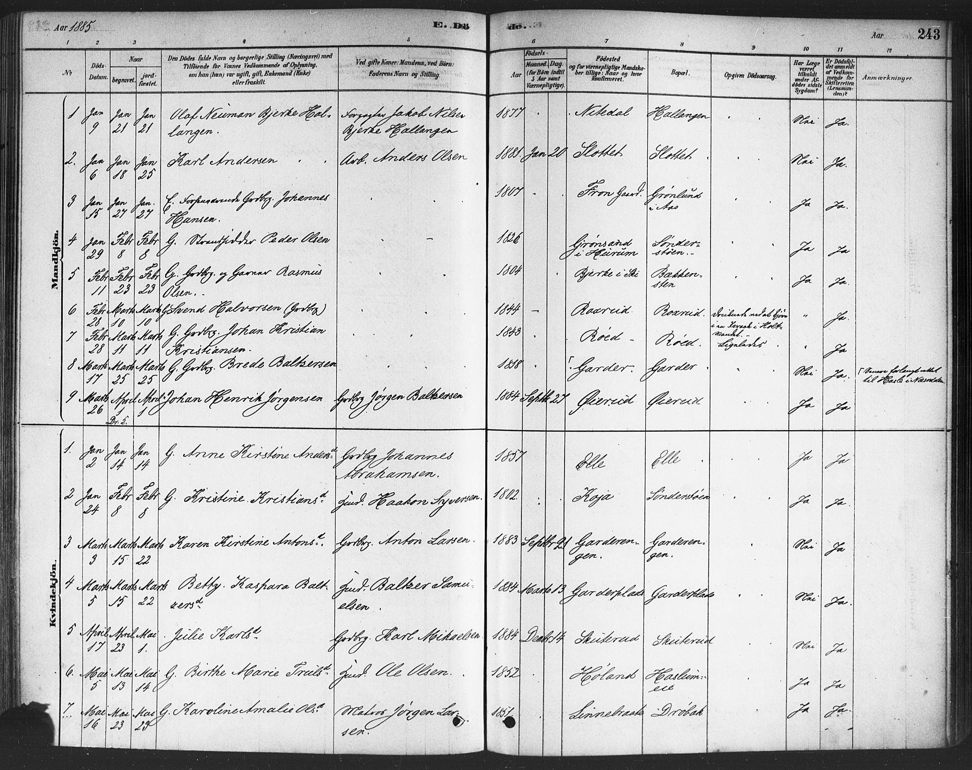 Drøbak prestekontor Kirkebøker, SAO/A-10142a/F/Fc/L0002: Parish register (official) no. III 2, 1878-1891, p. 243