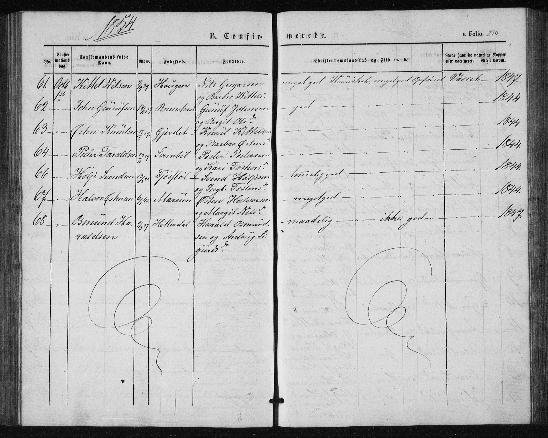 Tinn kirkebøker, SAKO/A-308/F/Fa/L0005: Parish register (official) no. I 5, 1844-1856, p. 230