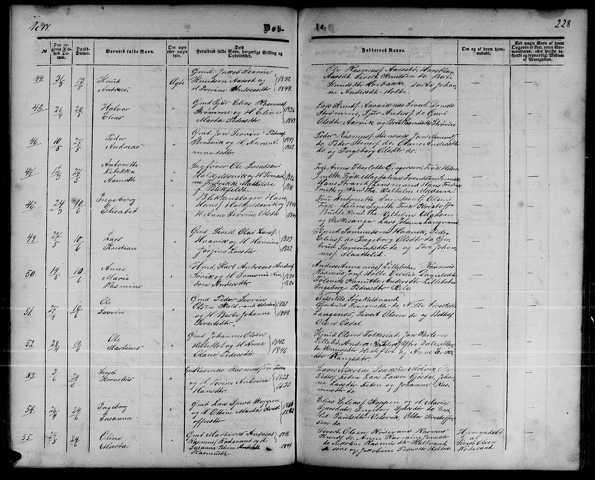 Ministerialprotokoller, klokkerbøker og fødselsregistre - Møre og Romsdal, AV/SAT-A-1454/511/L0157: Parish register (copy) no. 511C03, 1864-1884, p. 228