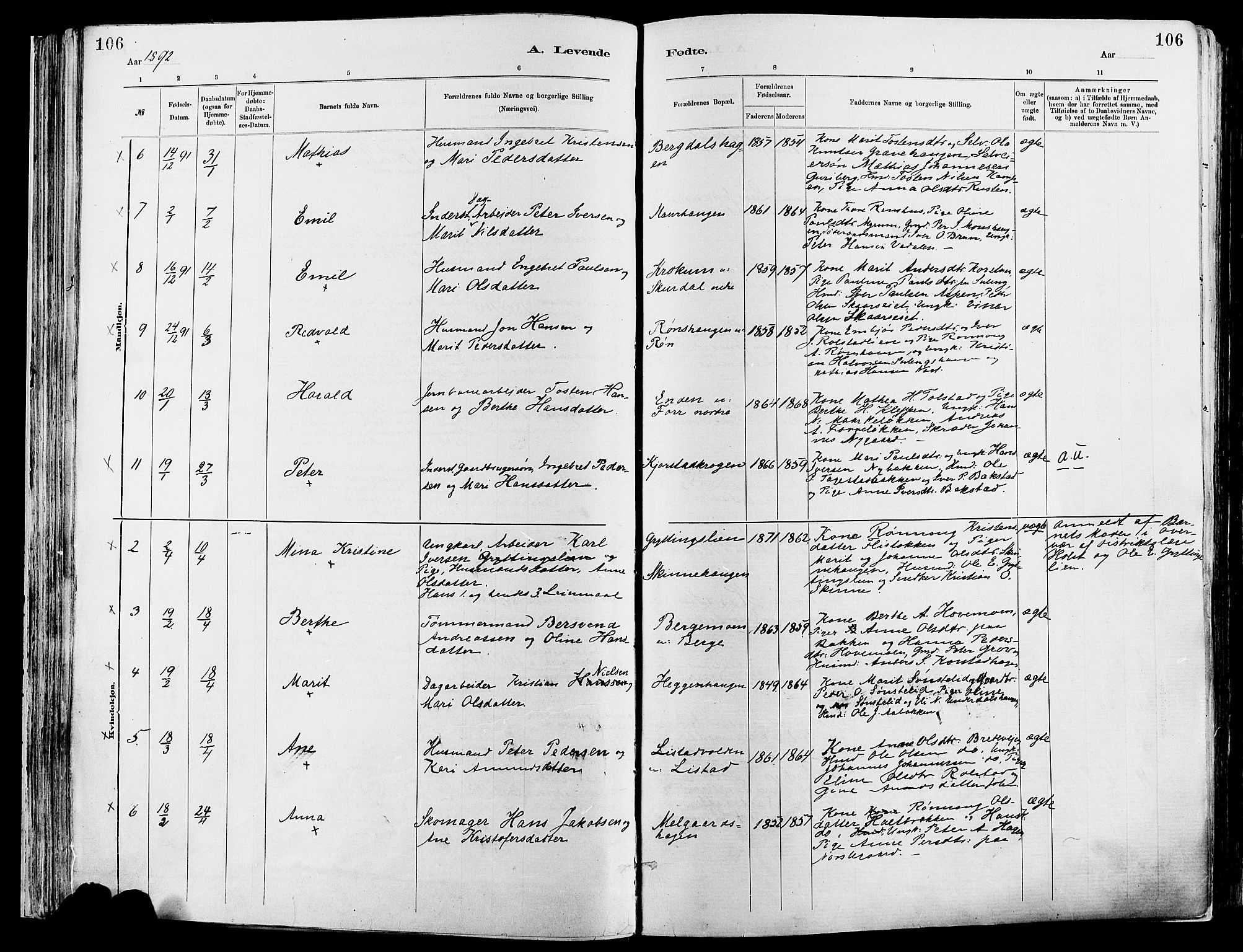 Sør-Fron prestekontor, SAH/PREST-010/H/Ha/Haa/L0003: Parish register (official) no. 3, 1881-1897, p. 106