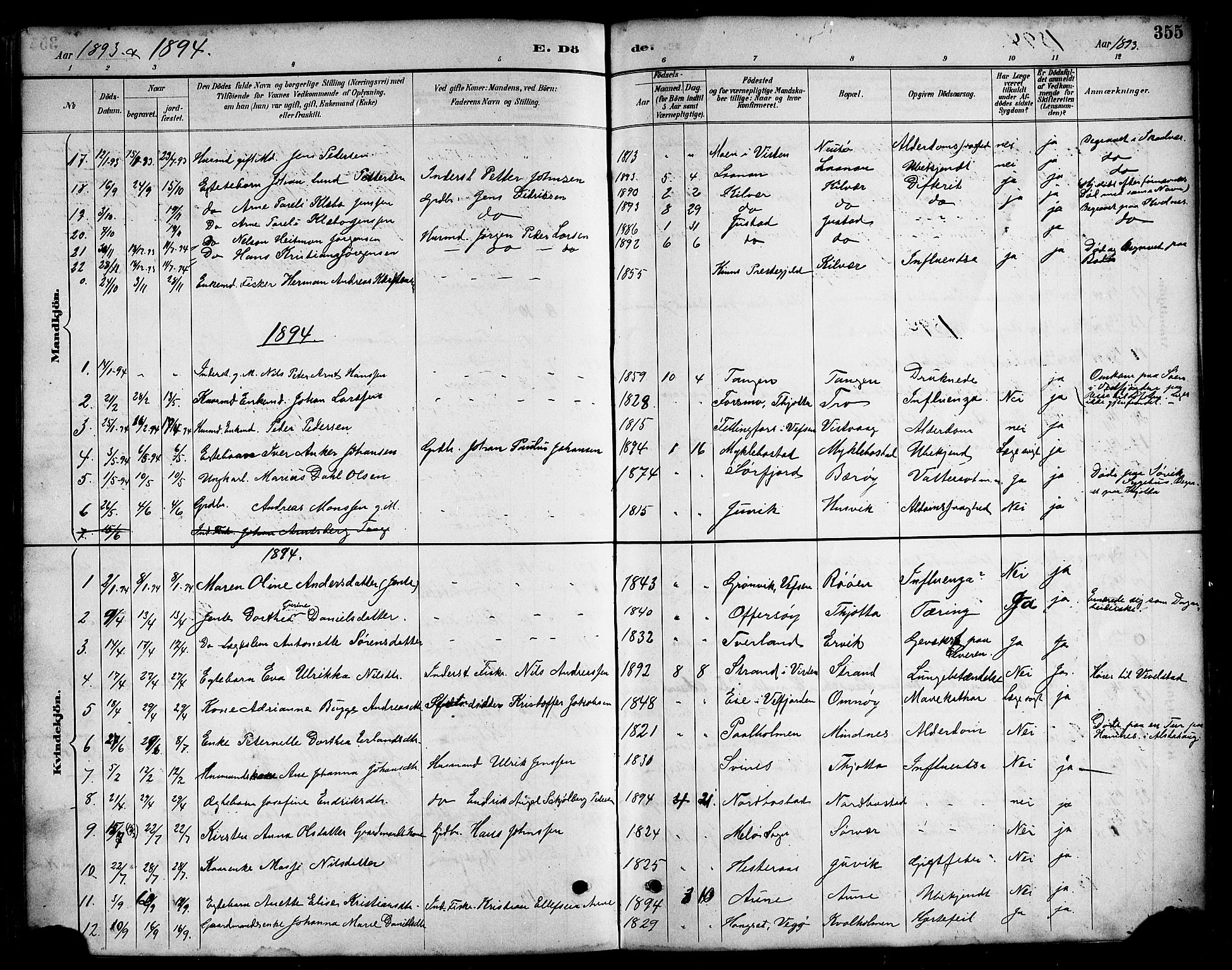 Ministerialprotokoller, klokkerbøker og fødselsregistre - Nordland, AV/SAT-A-1459/817/L0268: Parish register (copy) no. 817C03, 1884-1920, p. 355