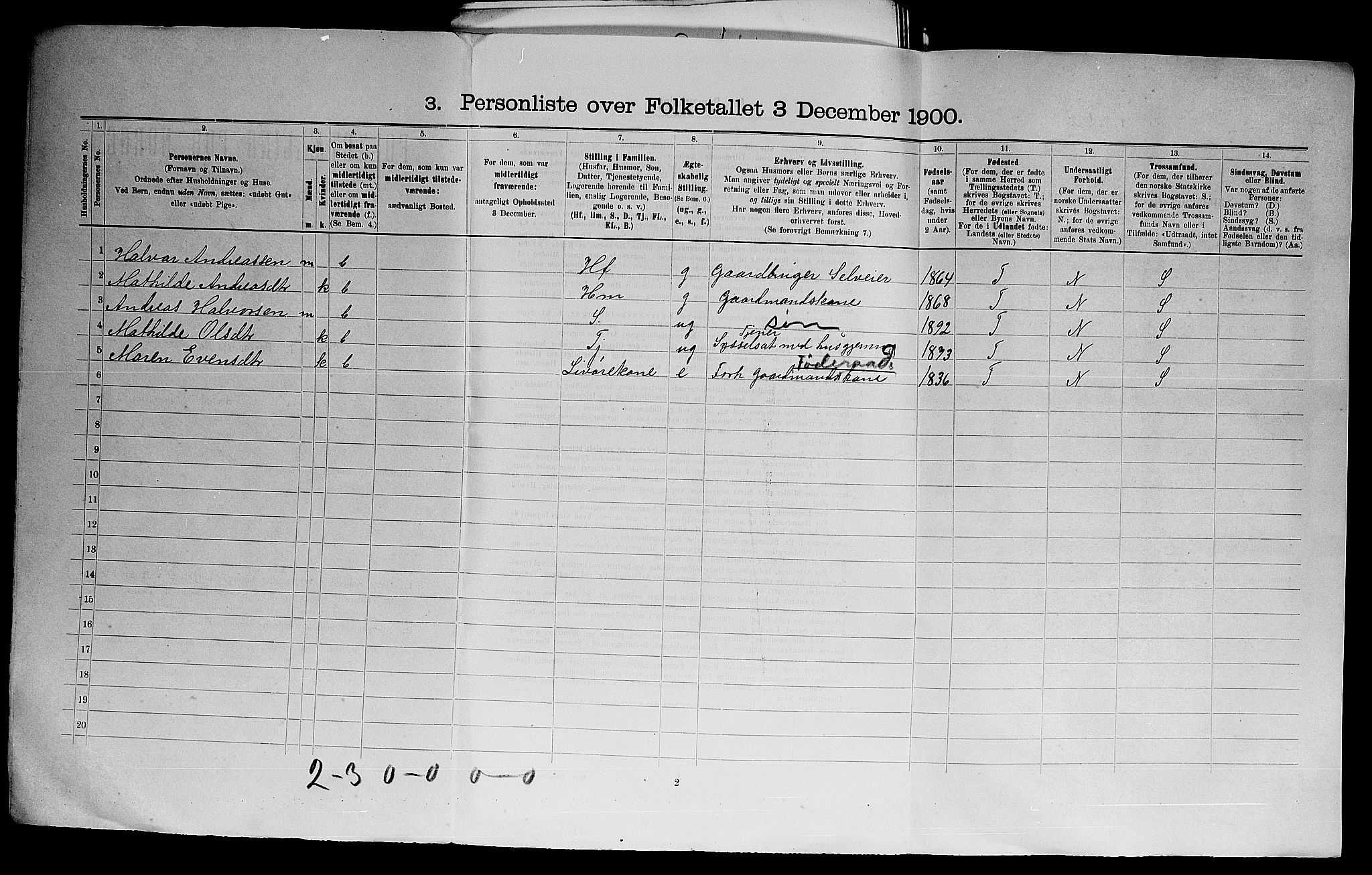 SAO, 1900 census for Høland, 1900