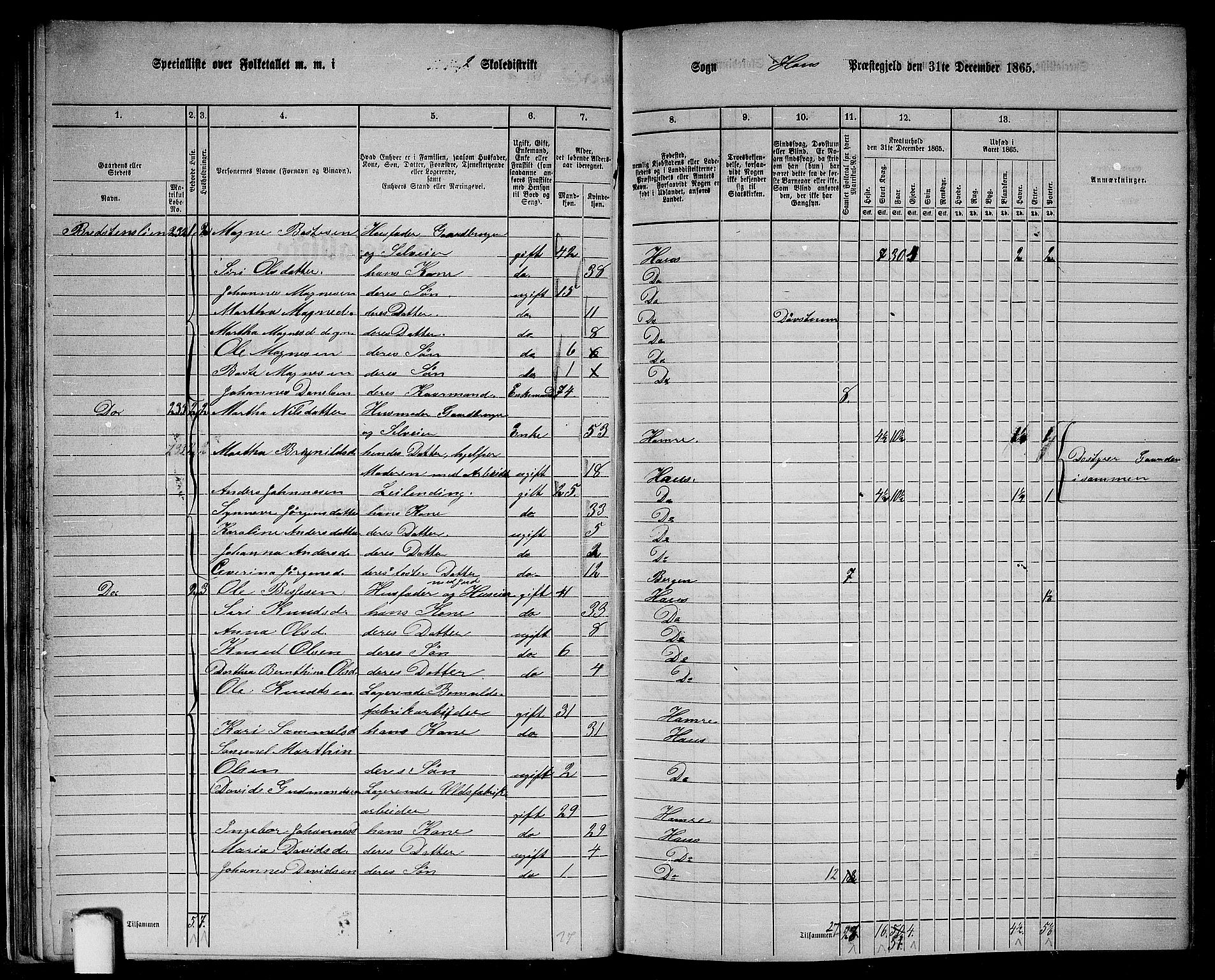 RA, 1865 census for Haus, 1865, p. 38