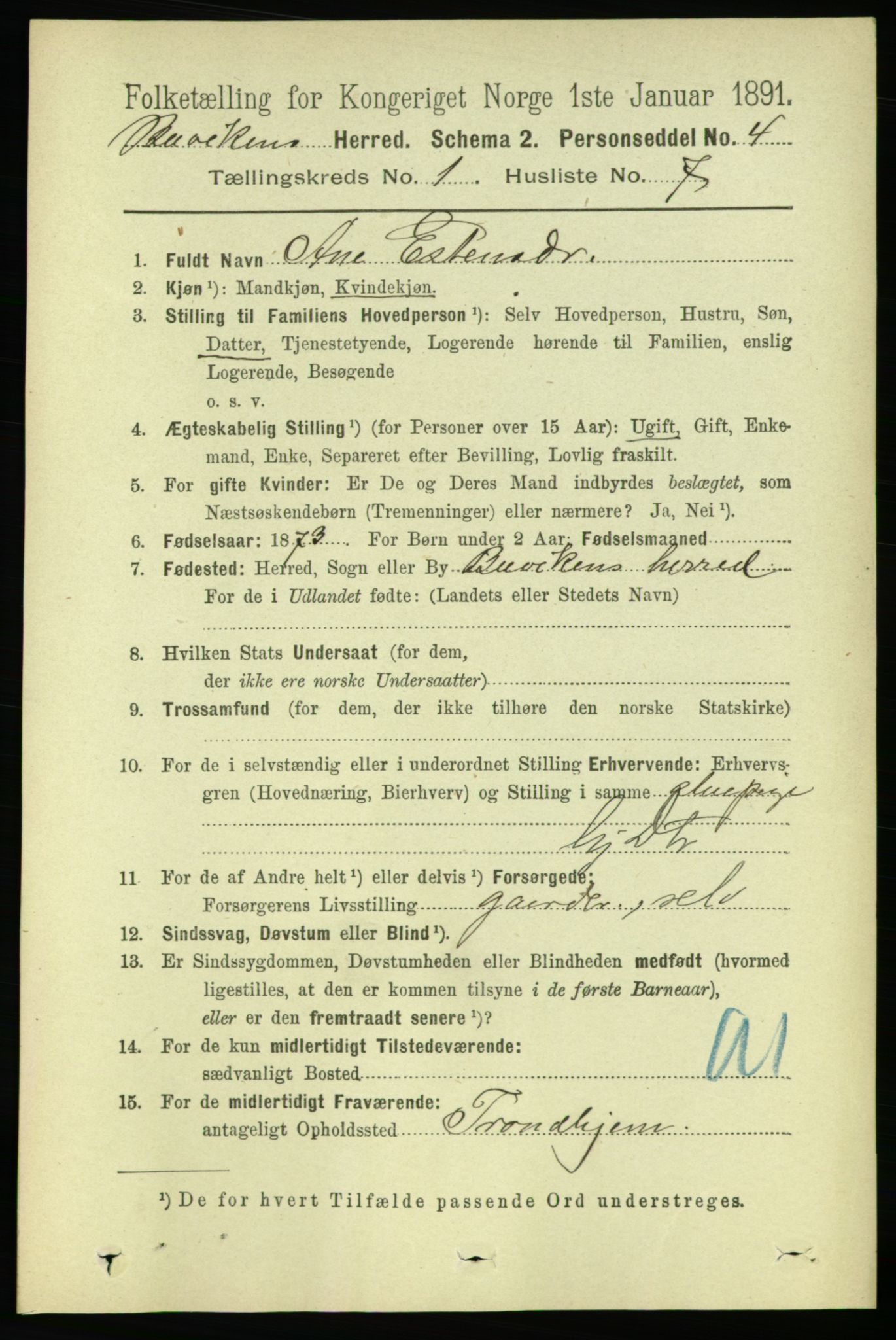 RA, 1891 census for 1656 Buvik, 1891, p. 129