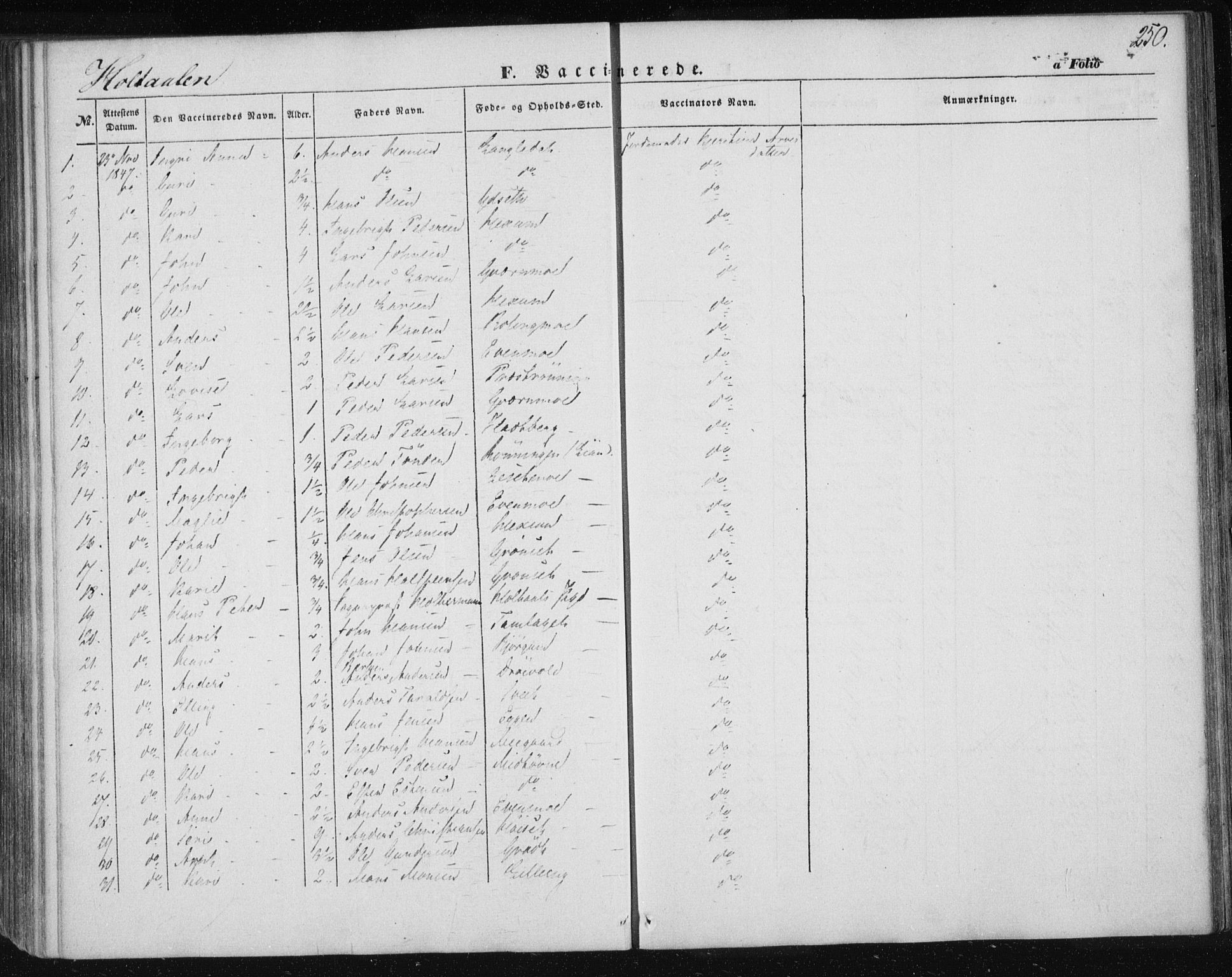 Ministerialprotokoller, klokkerbøker og fødselsregistre - Sør-Trøndelag, SAT/A-1456/685/L0963: Parish register (official) no. 685A06 /1, 1846-1859, p. 250