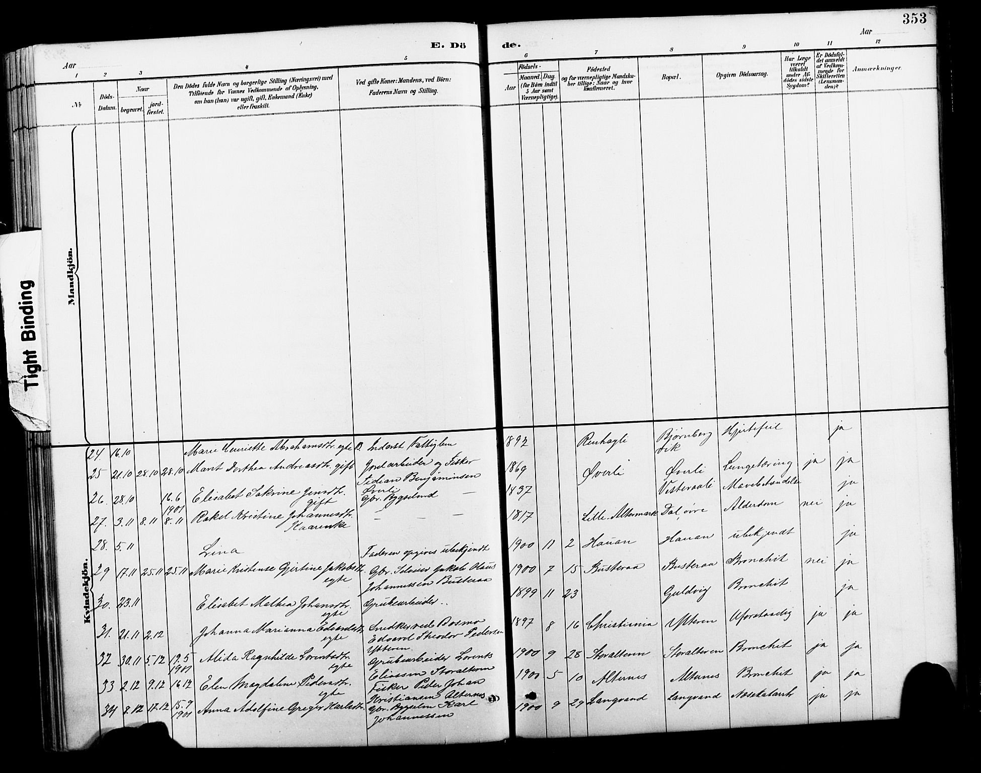 Ministerialprotokoller, klokkerbøker og fødselsregistre - Nordland, AV/SAT-A-1459/827/L0421: Parish register (copy) no. 827C10, 1887-1906, p. 353