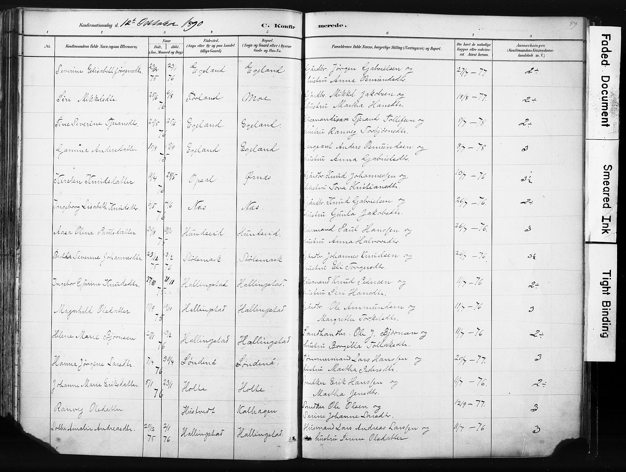 Vikedal sokneprestkontor, AV/SAST-A-101840/01/IV: Parish register (official) no. A 10, 1884-1907, p. 89