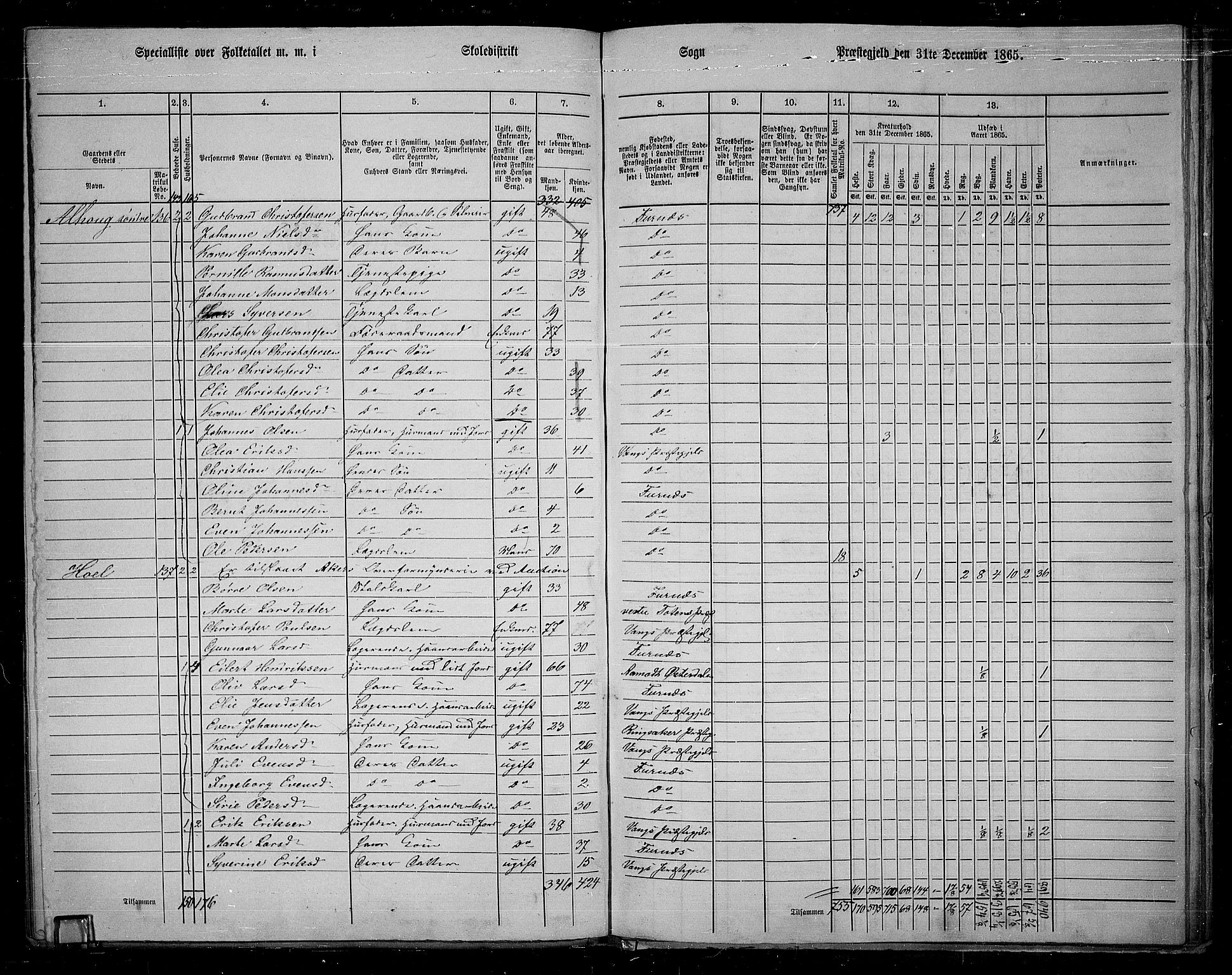 RA, 1865 census for Vang/Vang og Furnes, 1865, p. 115