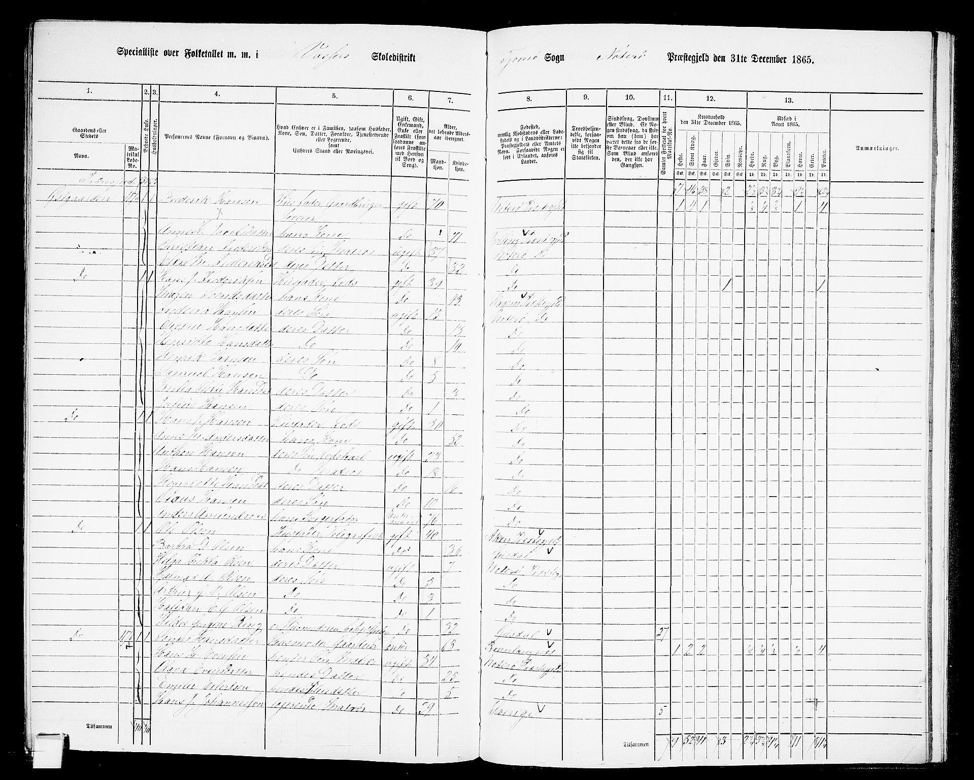 RA, 1865 census for Nøtterøy, 1865, p. 295