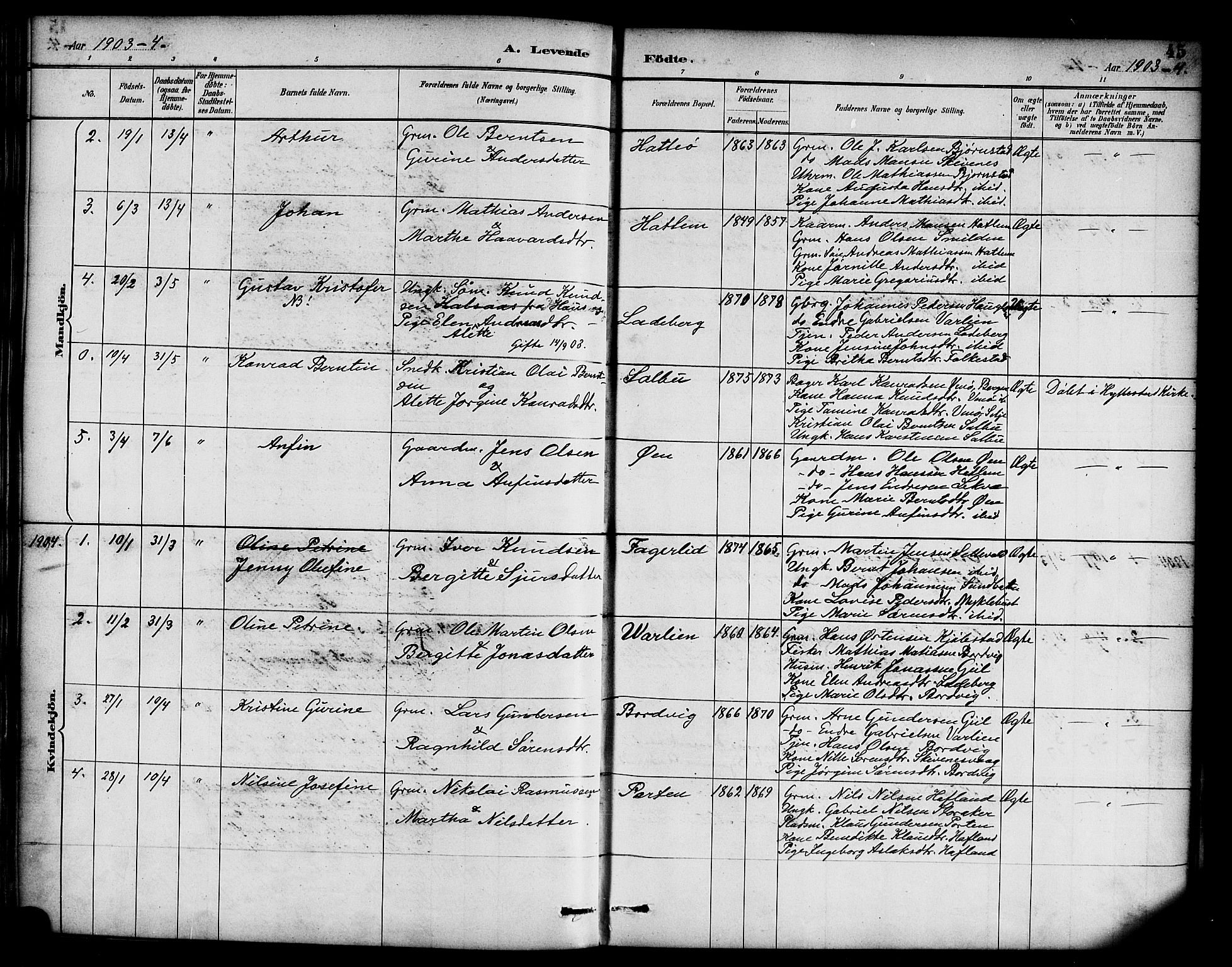 Hyllestad sokneprestembete, SAB/A-80401: Parish register (official) no. D 1, 1886-1905, p. 45