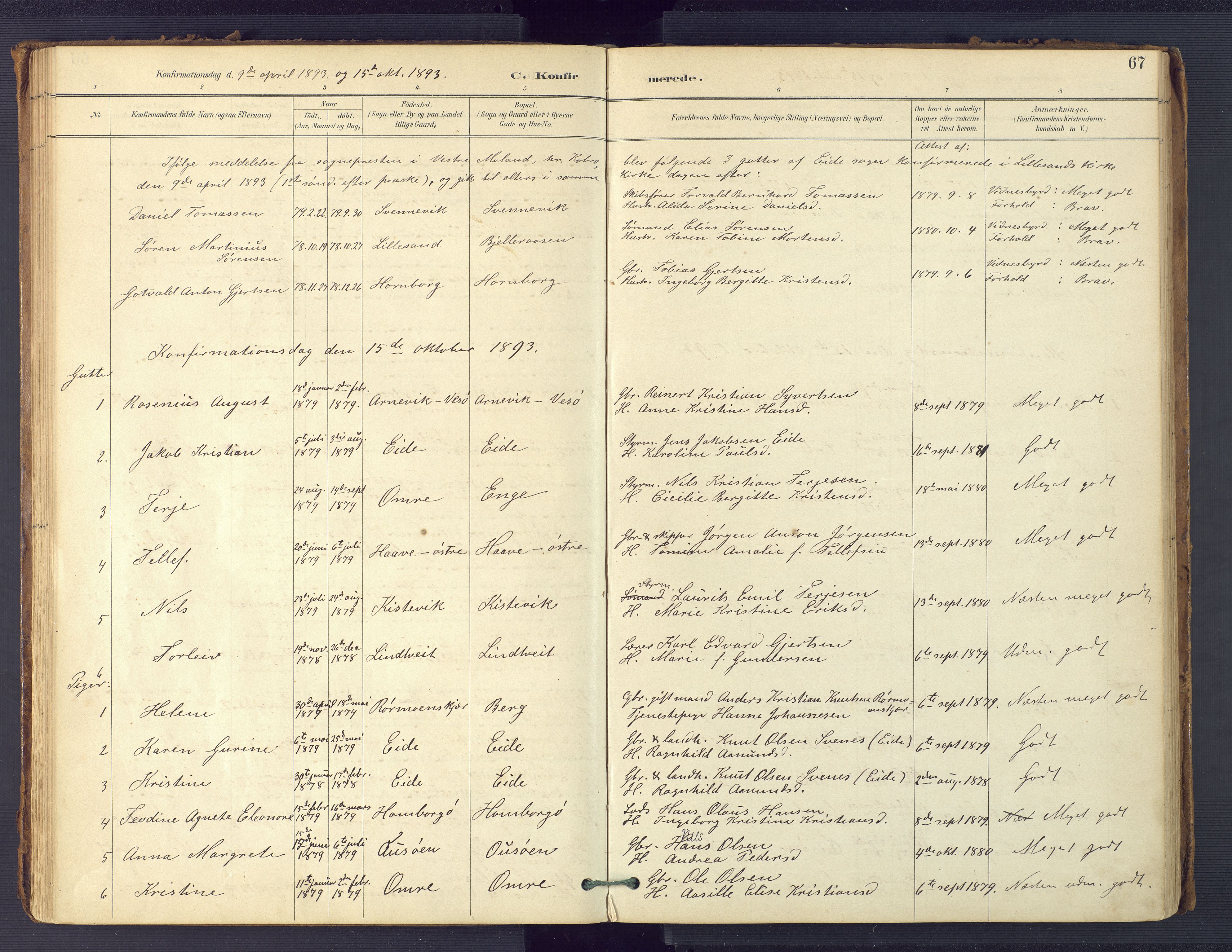 Hommedal sokneprestkontor, SAK/1111-0023/F/Fa/Faa/L0003: Parish register (official) no. A 3, 1885-1916, p. 67