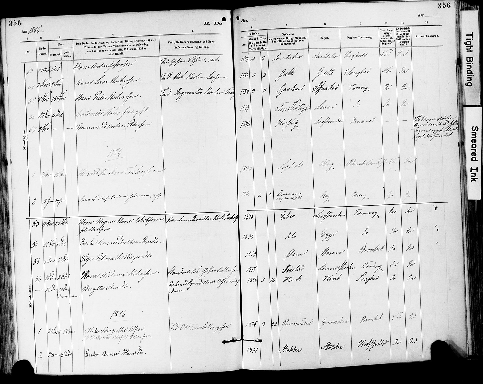 Lier kirkebøker, AV/SAKO-A-230/F/Fa/L0015: Parish register (official) no. I 15, 1883-1894, p. 356