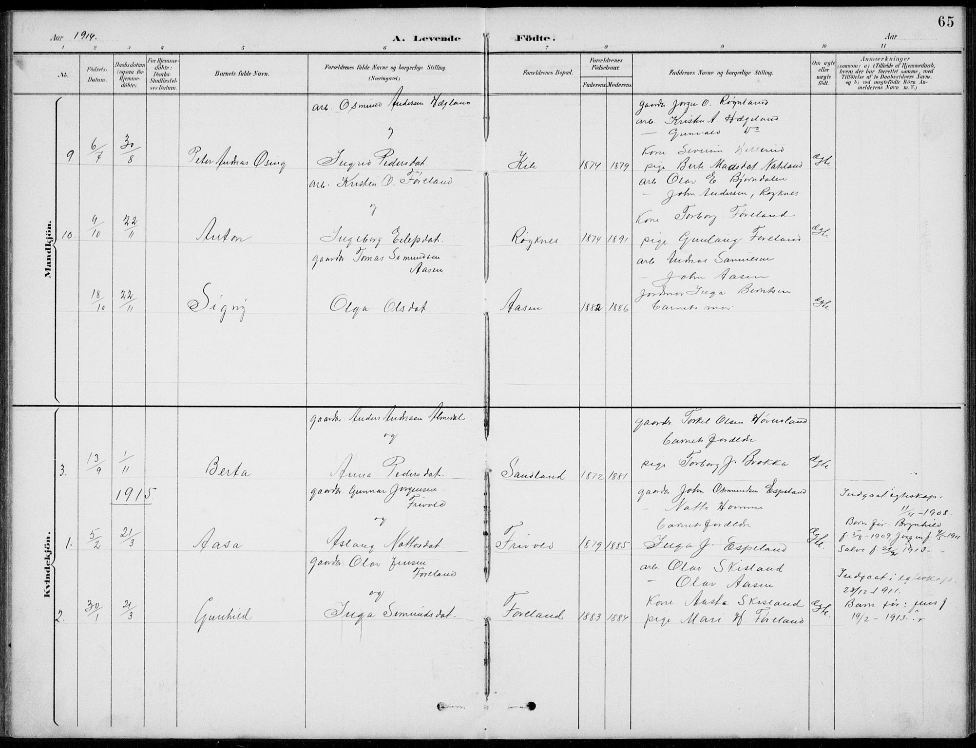 Vennesla sokneprestkontor, AV/SAK-1111-0045/Fb/Fba/L0003: Parish register (copy) no. B 3, 1890-1919, p. 65