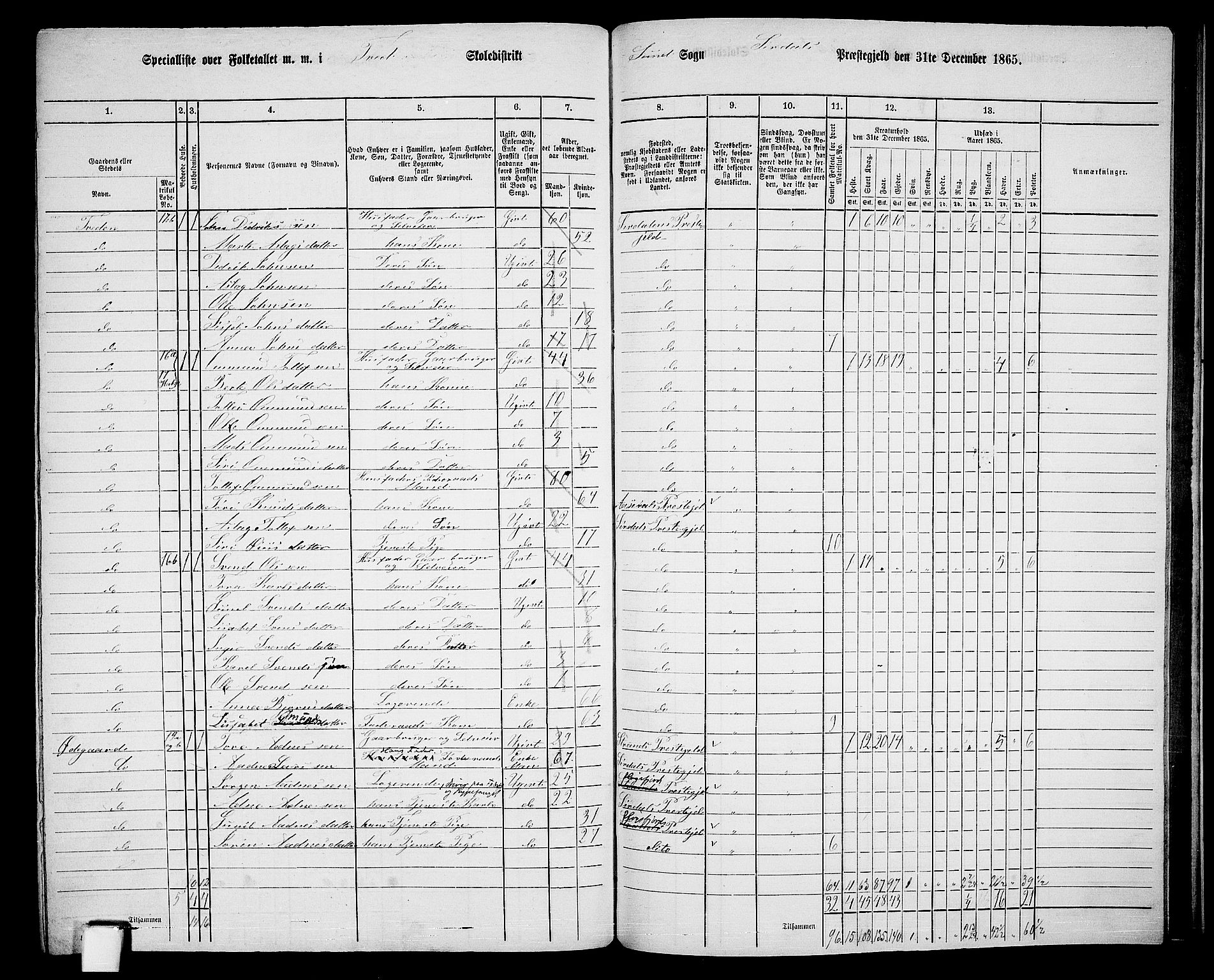 RA, 1865 census for Sirdal, 1865, p. 67