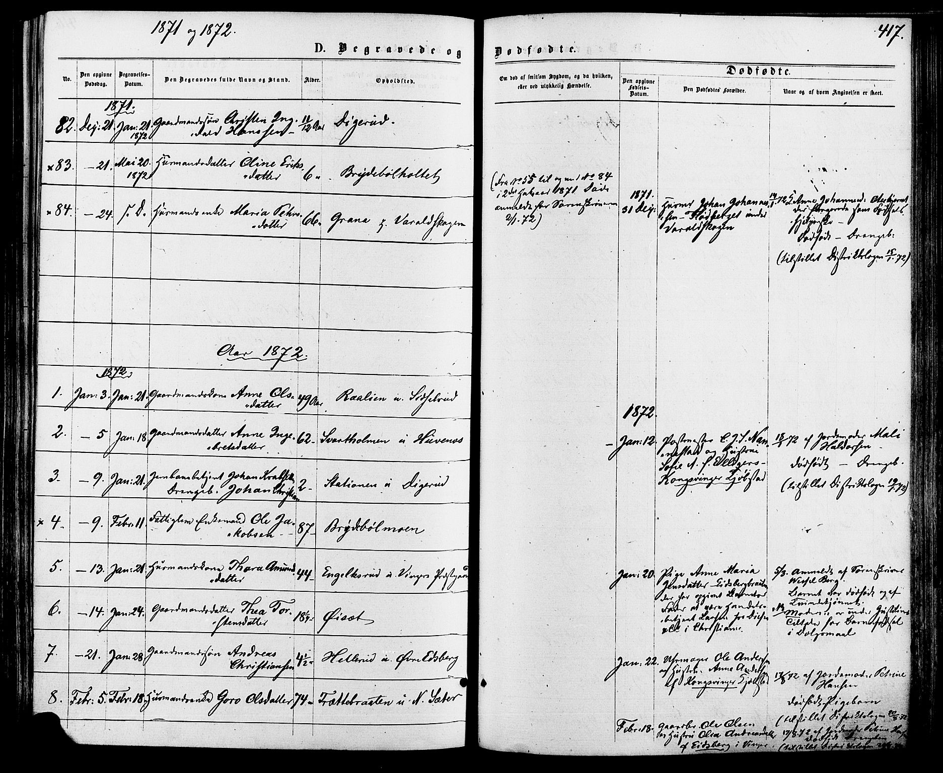Vinger prestekontor, SAH/PREST-024/H/Ha/Haa/L0012: Parish register (official) no. 12, 1871-1880, p. 417