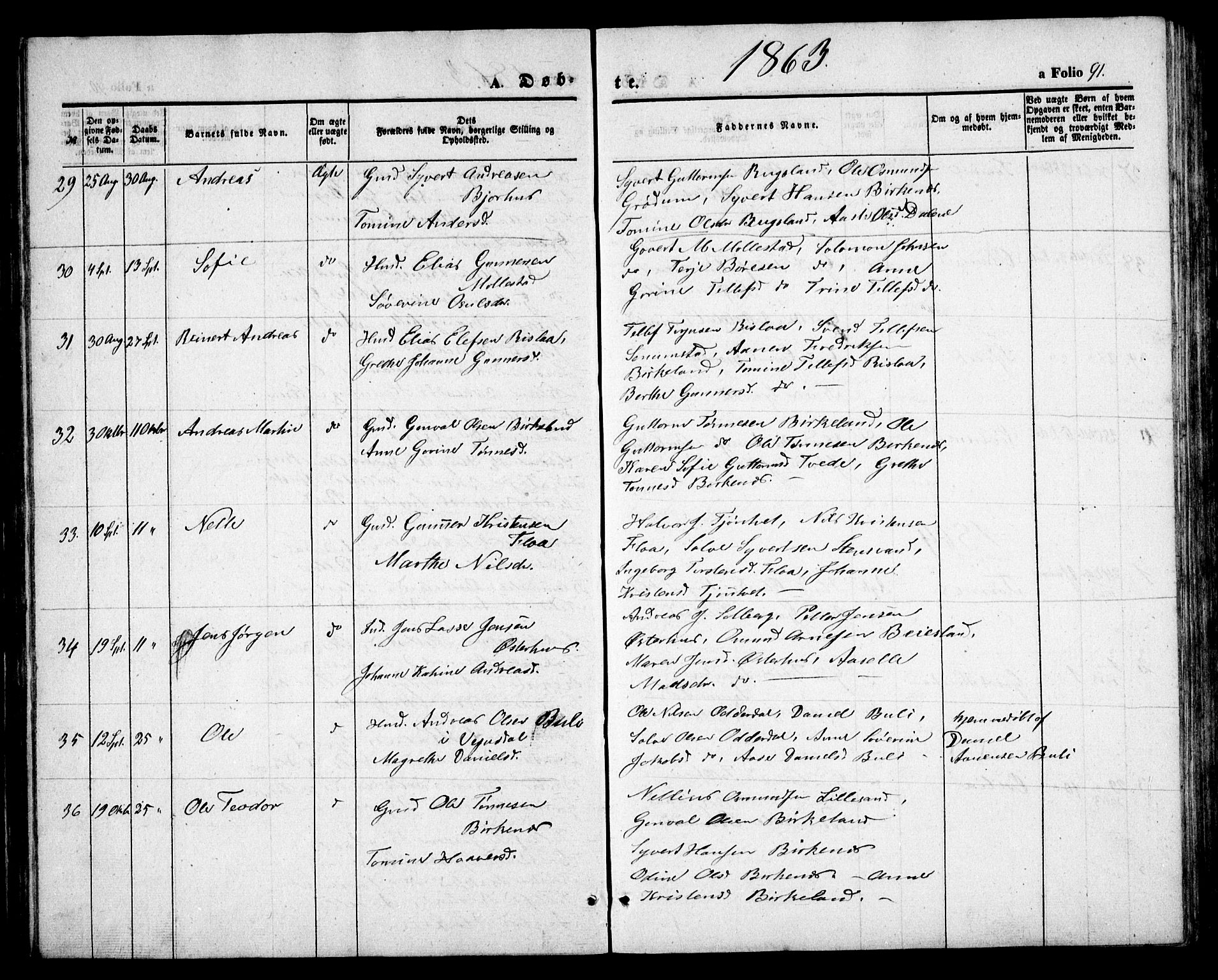 Birkenes sokneprestkontor, AV/SAK-1111-0004/F/Fb/L0002: Parish register (copy) no. B 2, 1849-1876, p. 91