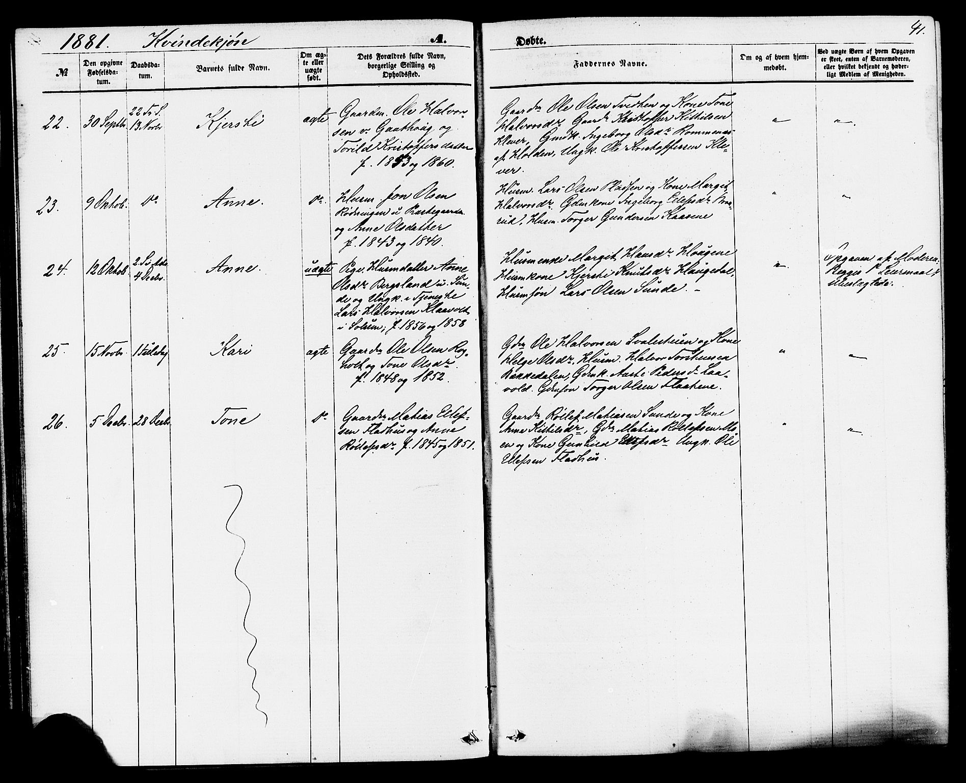 Sauherad kirkebøker, SAKO/A-298/F/Fa/L0008: Parish register (official) no. I 8, 1873-1886, p. 41