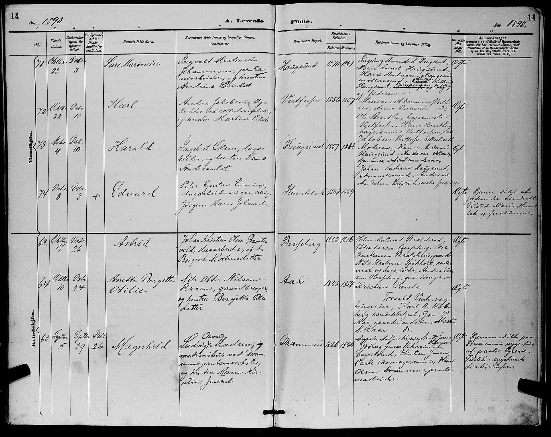 Eiker kirkebøker, AV/SAKO-A-4/G/Ga/L0007: Parish register (copy) no. I 7, 1893-1902, p. 14