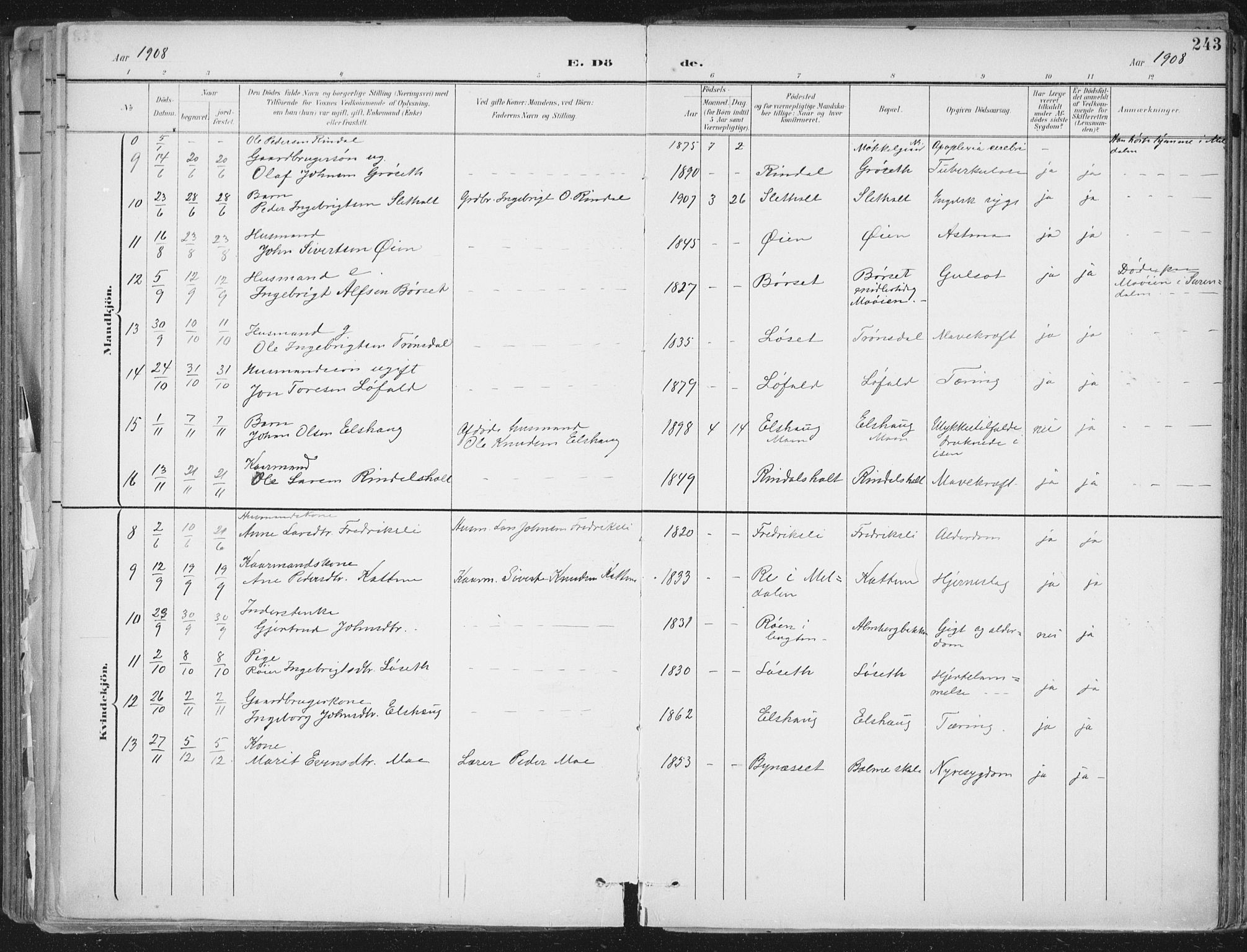 Ministerialprotokoller, klokkerbøker og fødselsregistre - Møre og Romsdal, AV/SAT-A-1454/598/L1072: Parish register (official) no. 598A06, 1896-1910, p. 243