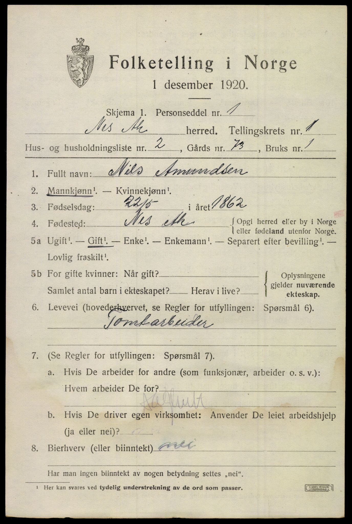 SAO, 1920 census for Nes, 1920, p. 3396