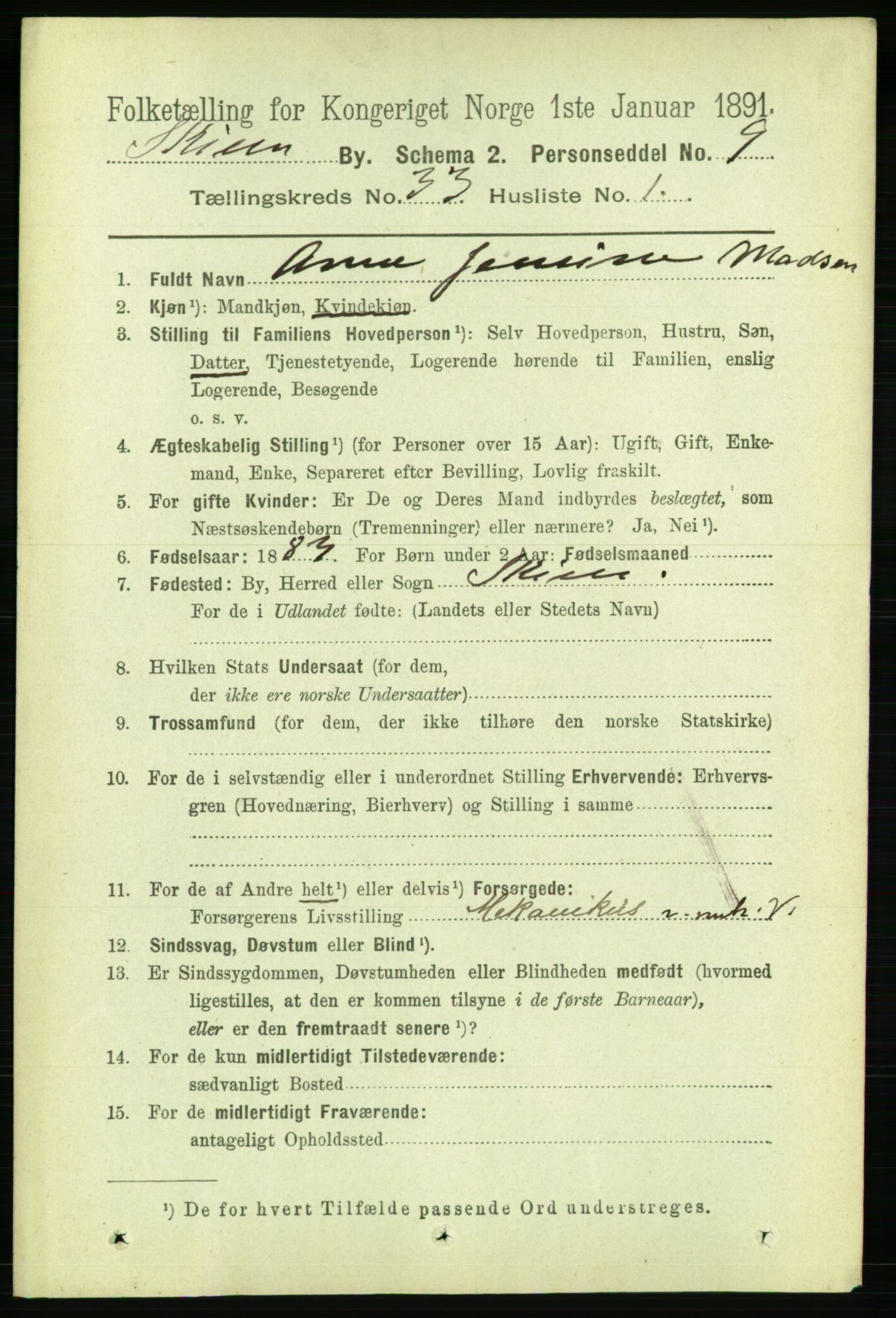 RA, 1891 census for 0806 Skien, 1891, p. 7499