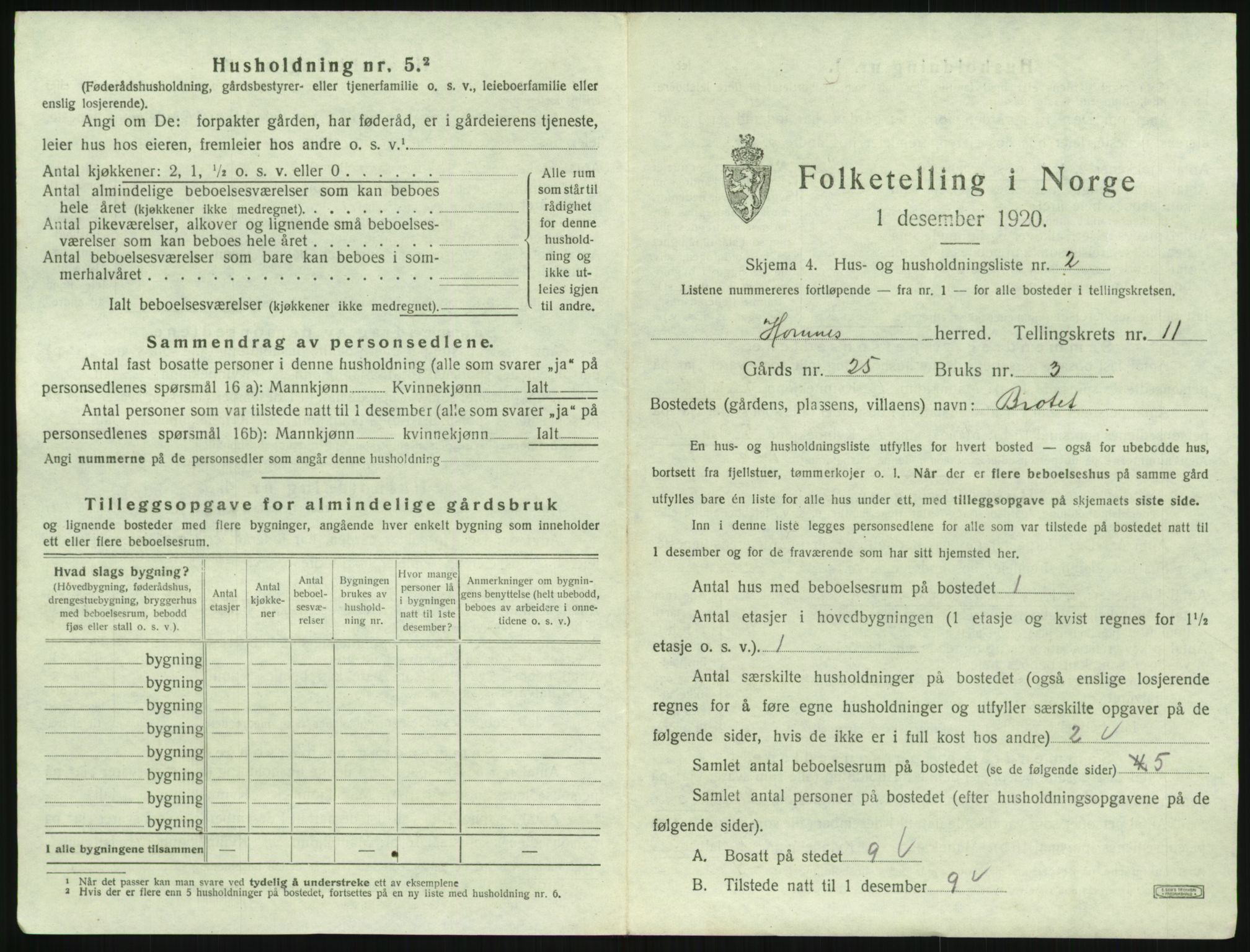 SAK, 1920 census for Hornnes, 1920, p. 433