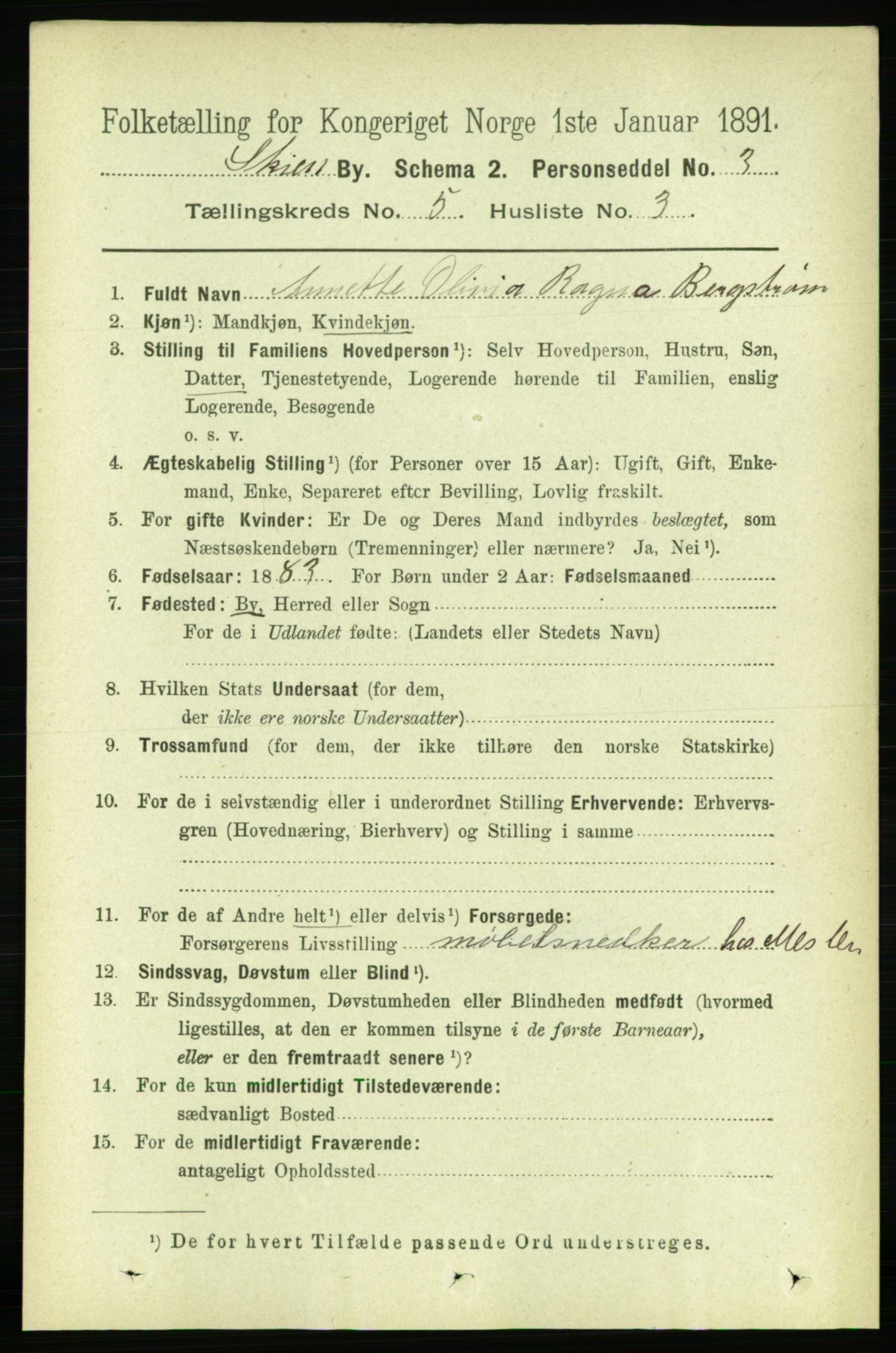 RA, 1891 census for 0806 Skien, 1891, p. 2905