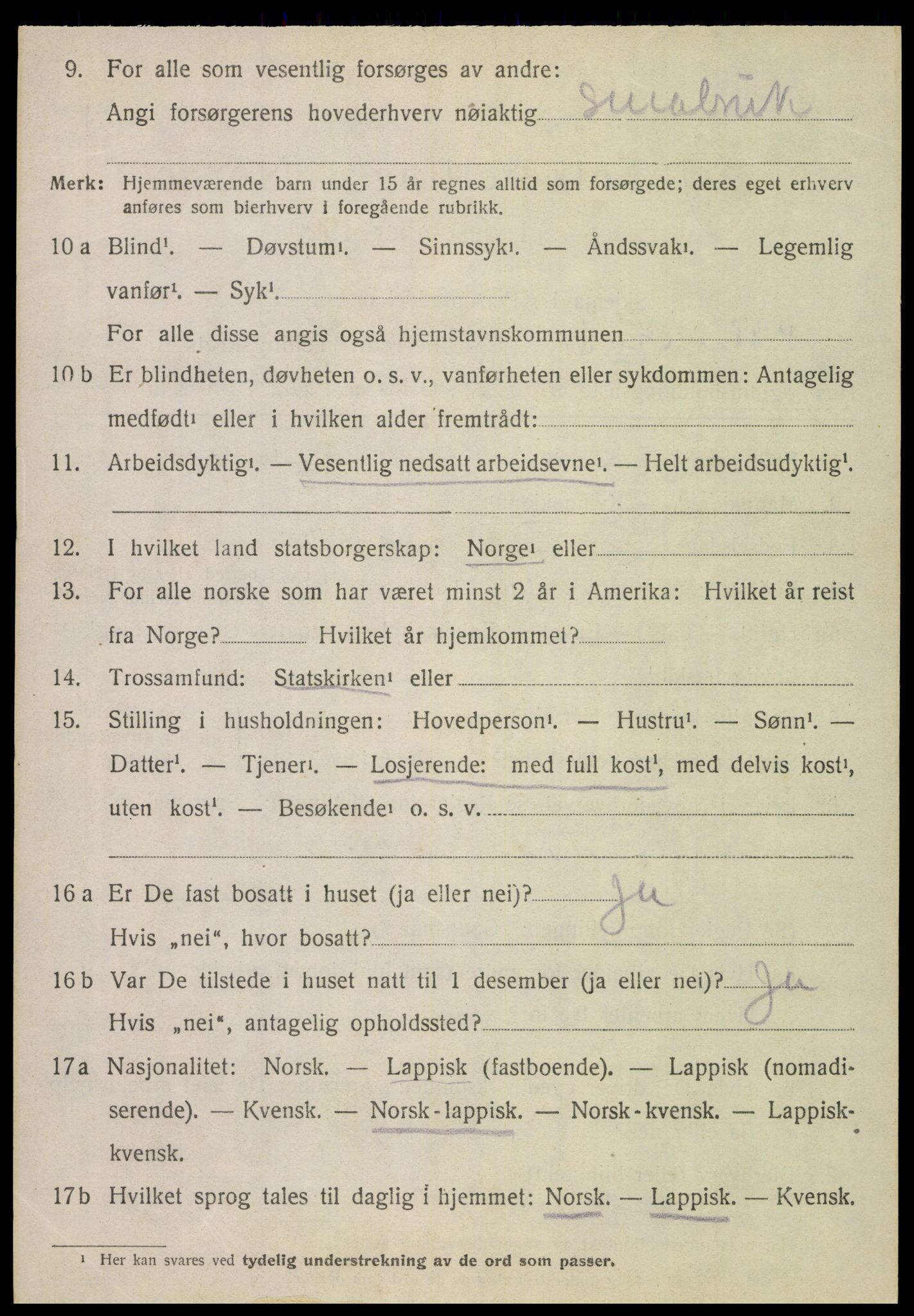 SAT, 1920 census for Hamarøy, 1920, p. 2941