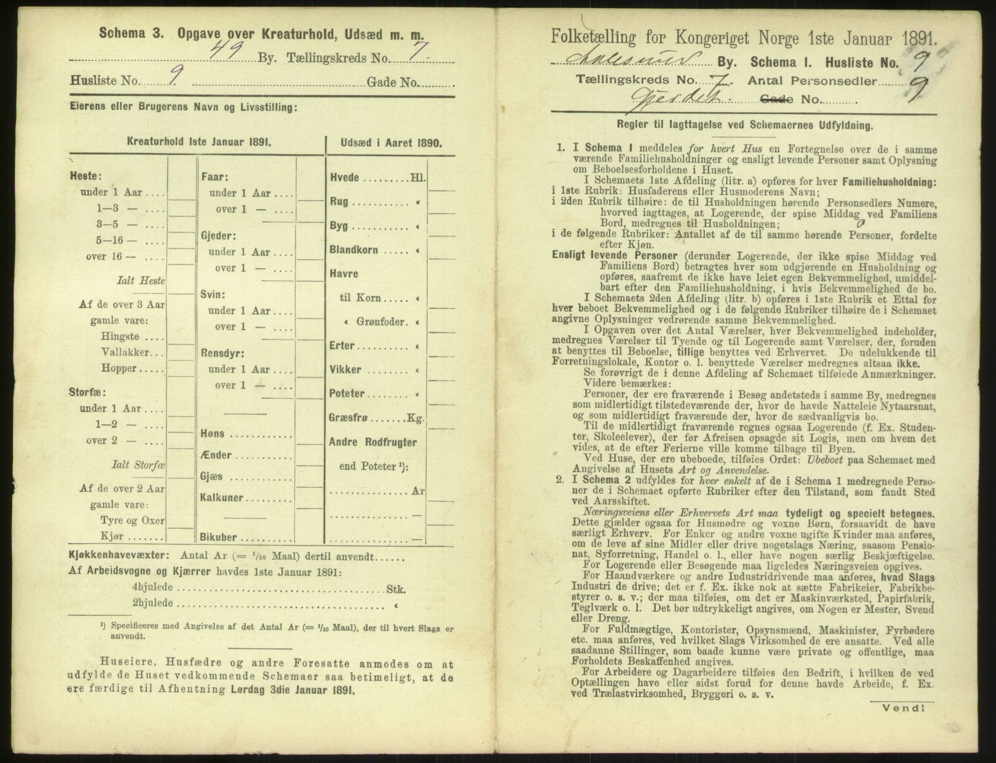 RA, 1891 census for 1501 Ålesund, 1891, p. 562