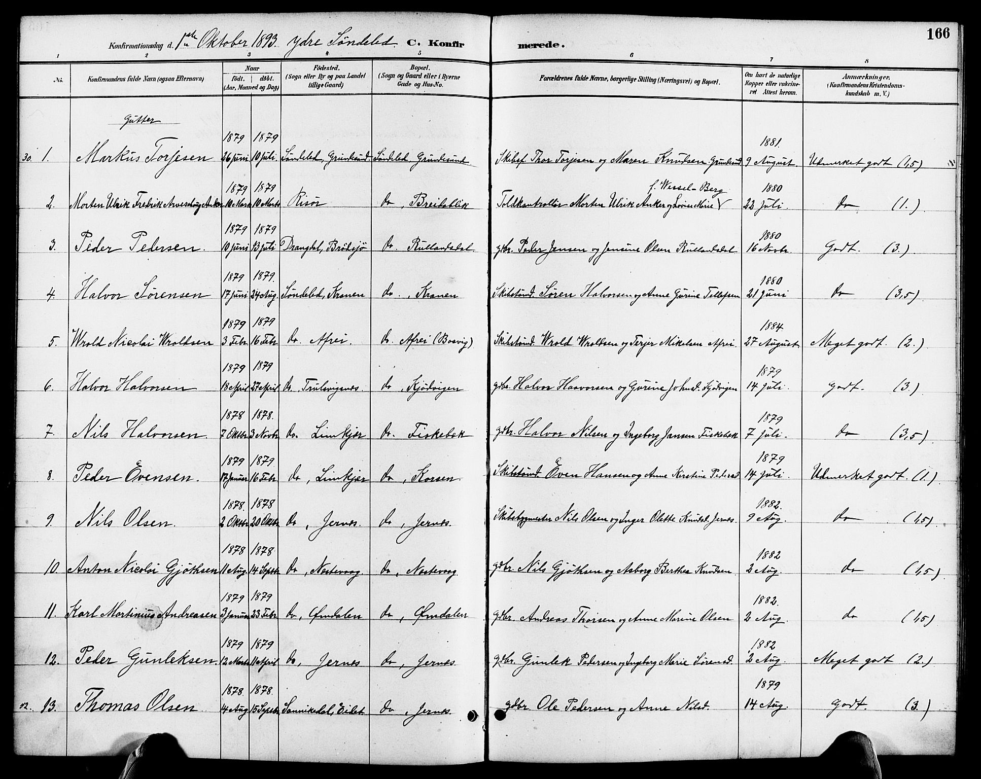 Søndeled sokneprestkontor, AV/SAK-1111-0038/F/Fa/L0005: Parish register (official) no. A 5, 1889-1899, p. 166