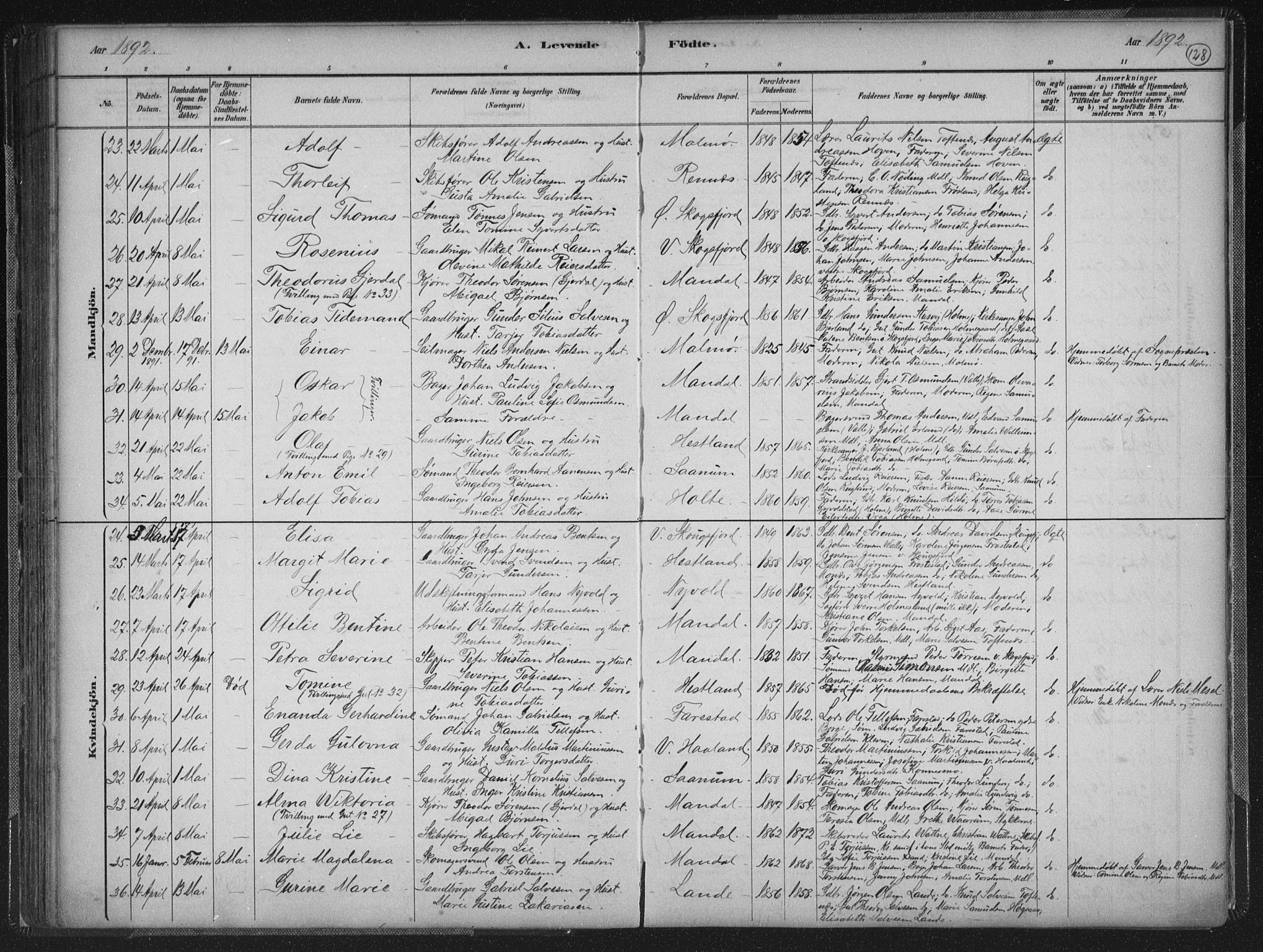 Mandal sokneprestkontor, SAK/1111-0030/F/Fb/Fba/L0011: Parish register (copy) no. B 5, 1880-1898, p. 128