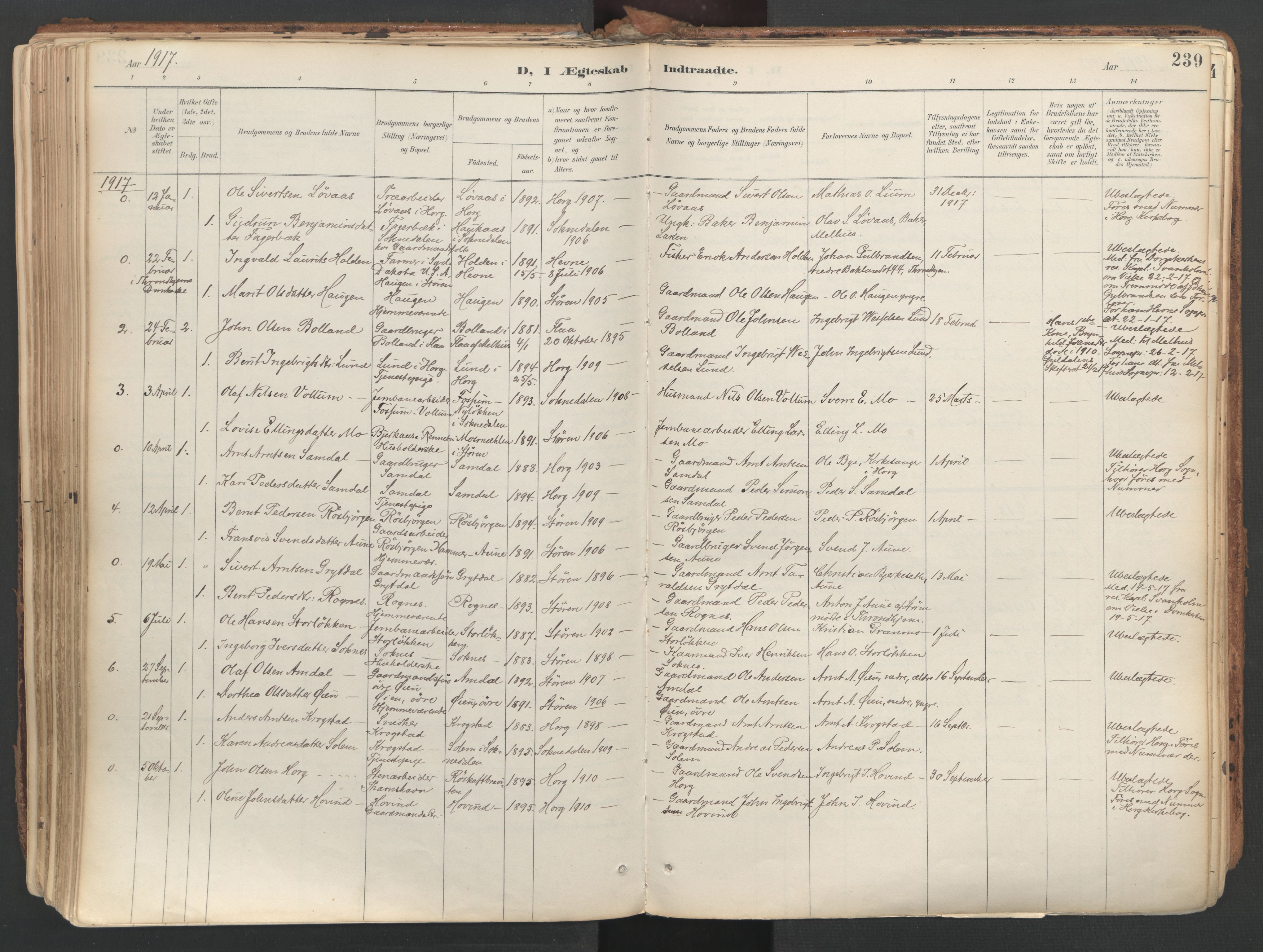 Ministerialprotokoller, klokkerbøker og fødselsregistre - Sør-Trøndelag, SAT/A-1456/687/L1004: Parish register (official) no. 687A10, 1891-1923, p. 239