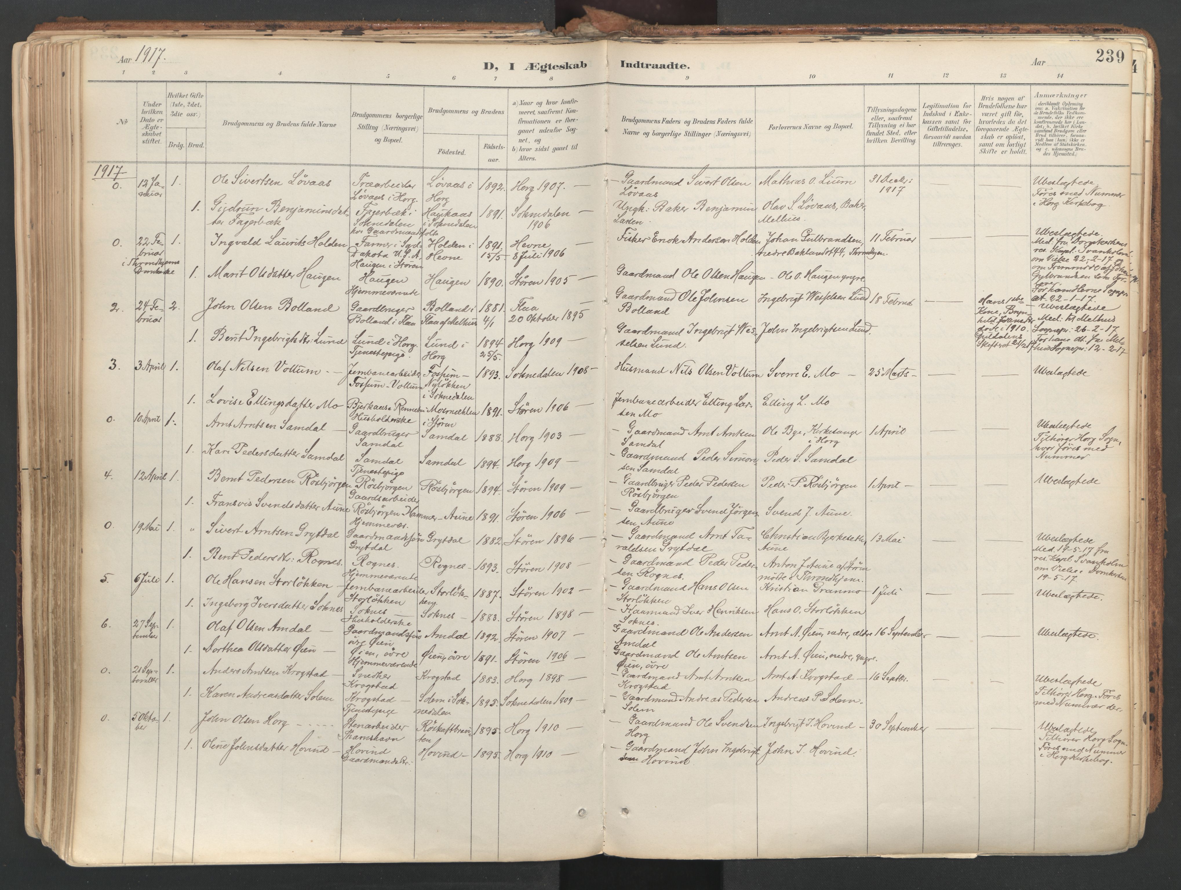 Ministerialprotokoller, klokkerbøker og fødselsregistre - Sør-Trøndelag, AV/SAT-A-1456/687/L1004: Parish register (official) no. 687A10, 1891-1923, p. 239