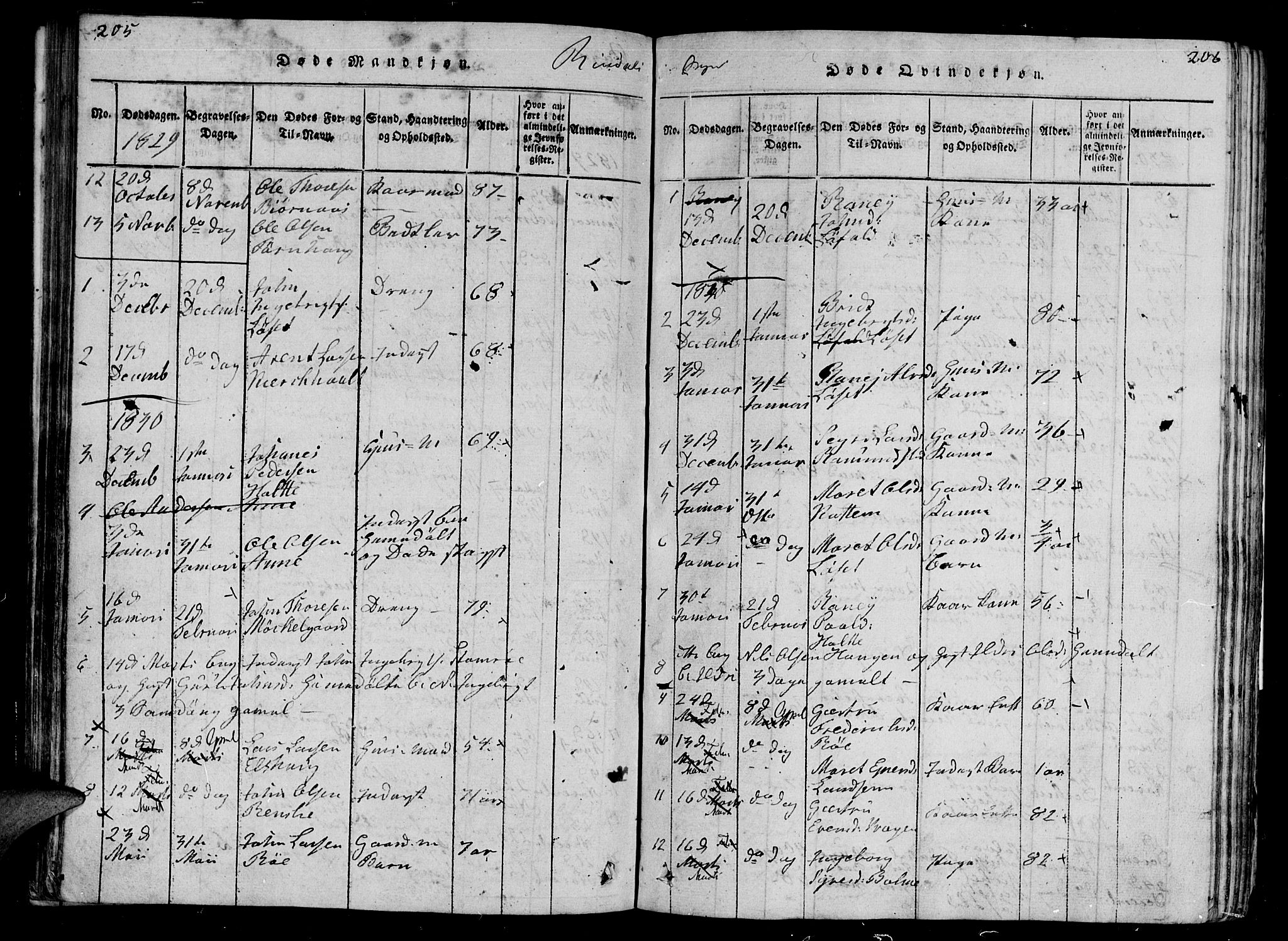 Ministerialprotokoller, klokkerbøker og fødselsregistre - Møre og Romsdal, AV/SAT-A-1454/595/L1050: Parish register (copy) no. 595C02, 1819-1834, p. 205-206