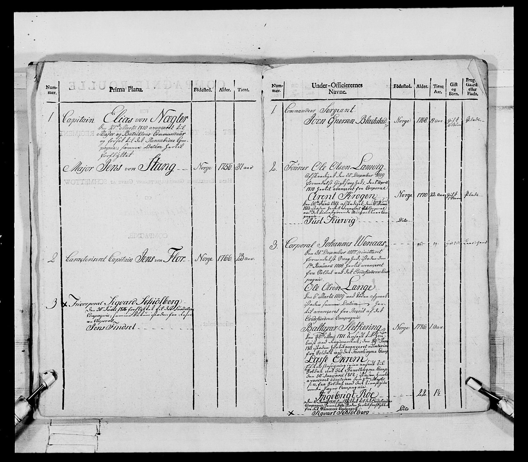 Generalitets- og kommissariatskollegiet, Det kongelige norske kommissariatskollegium, RA/EA-5420/E/Eh/L0083a: 2. Trondheimske nasjonale infanteriregiment, 1810, p. 109