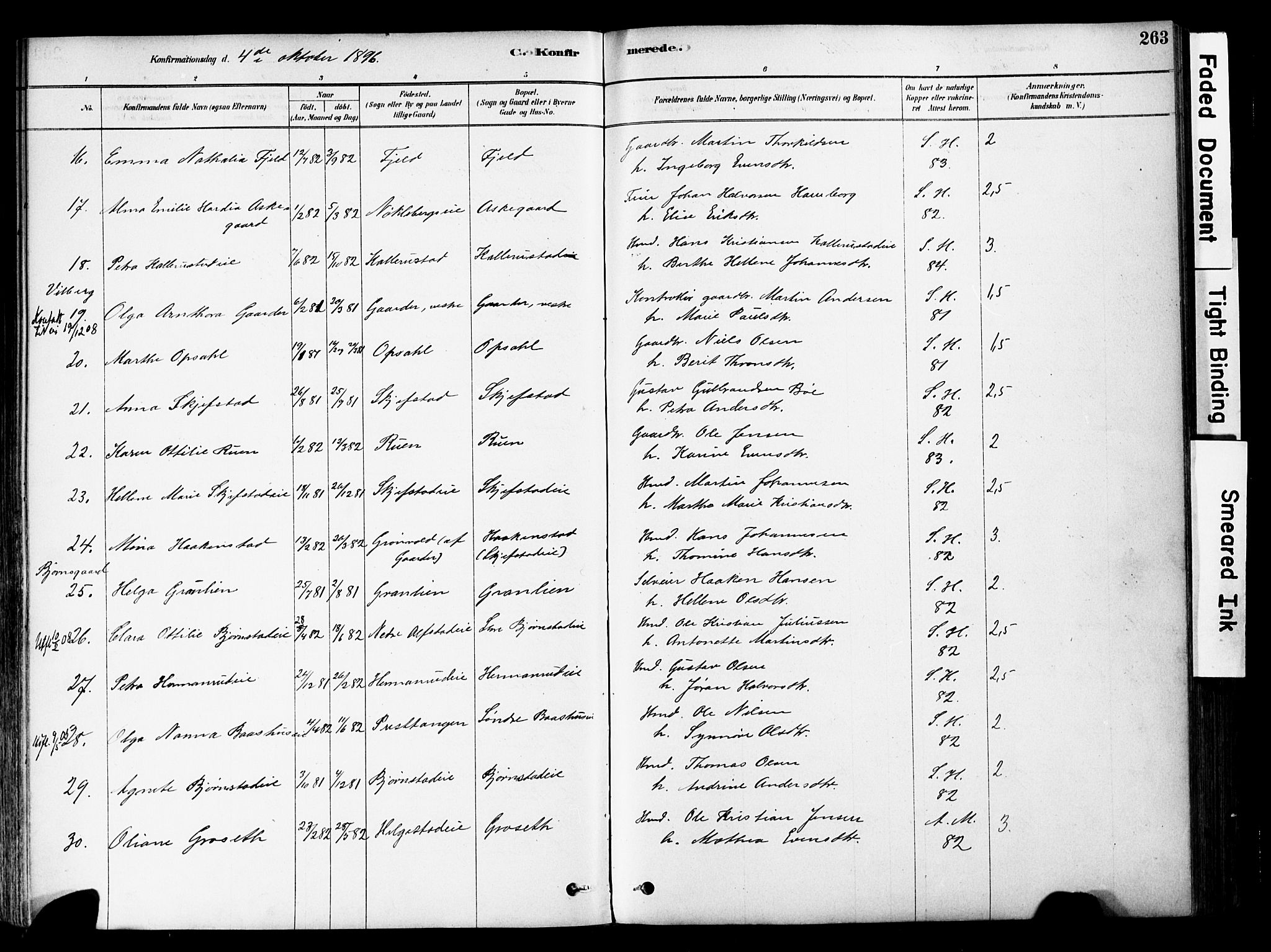 Østre Toten prestekontor, AV/SAH-PREST-104/H/Ha/Haa/L0006: Parish register (official) no. 6 /1, 1878-1896, p. 263