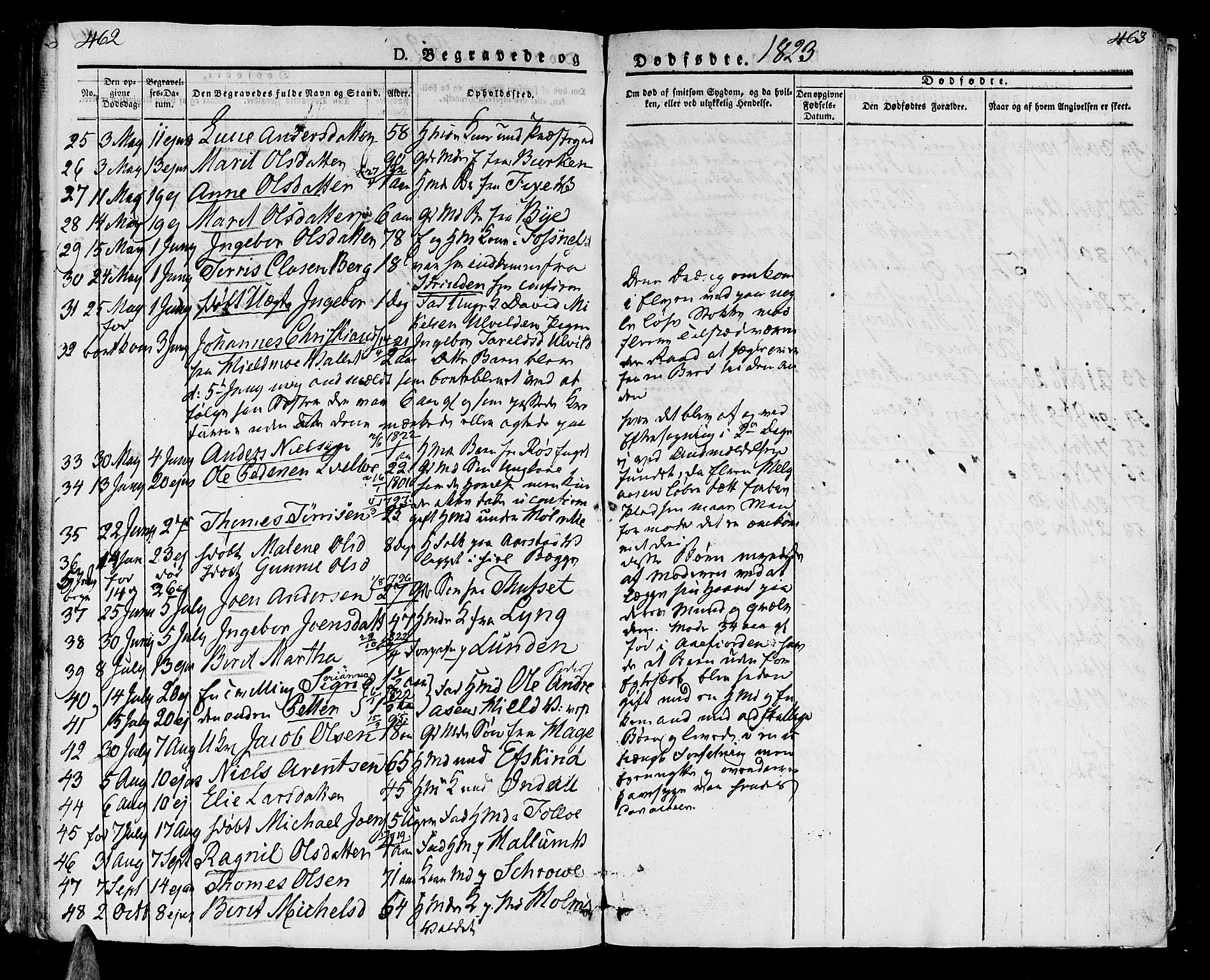 Ministerialprotokoller, klokkerbøker og fødselsregistre - Nord-Trøndelag, SAT/A-1458/723/L0237: Parish register (official) no. 723A06, 1822-1830, p. 462-463