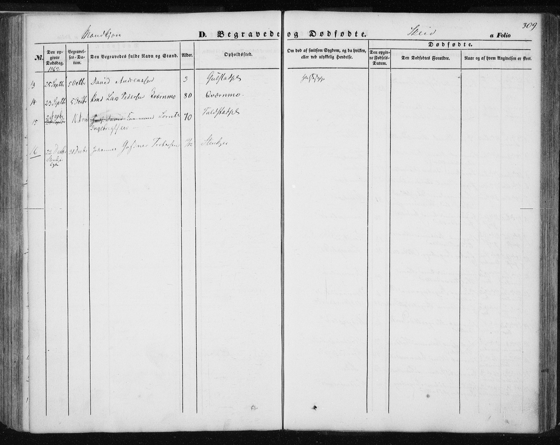 Ministerialprotokoller, klokkerbøker og fødselsregistre - Nord-Trøndelag, AV/SAT-A-1458/735/L0342: Parish register (official) no. 735A07 /2, 1849-1862, p. 309