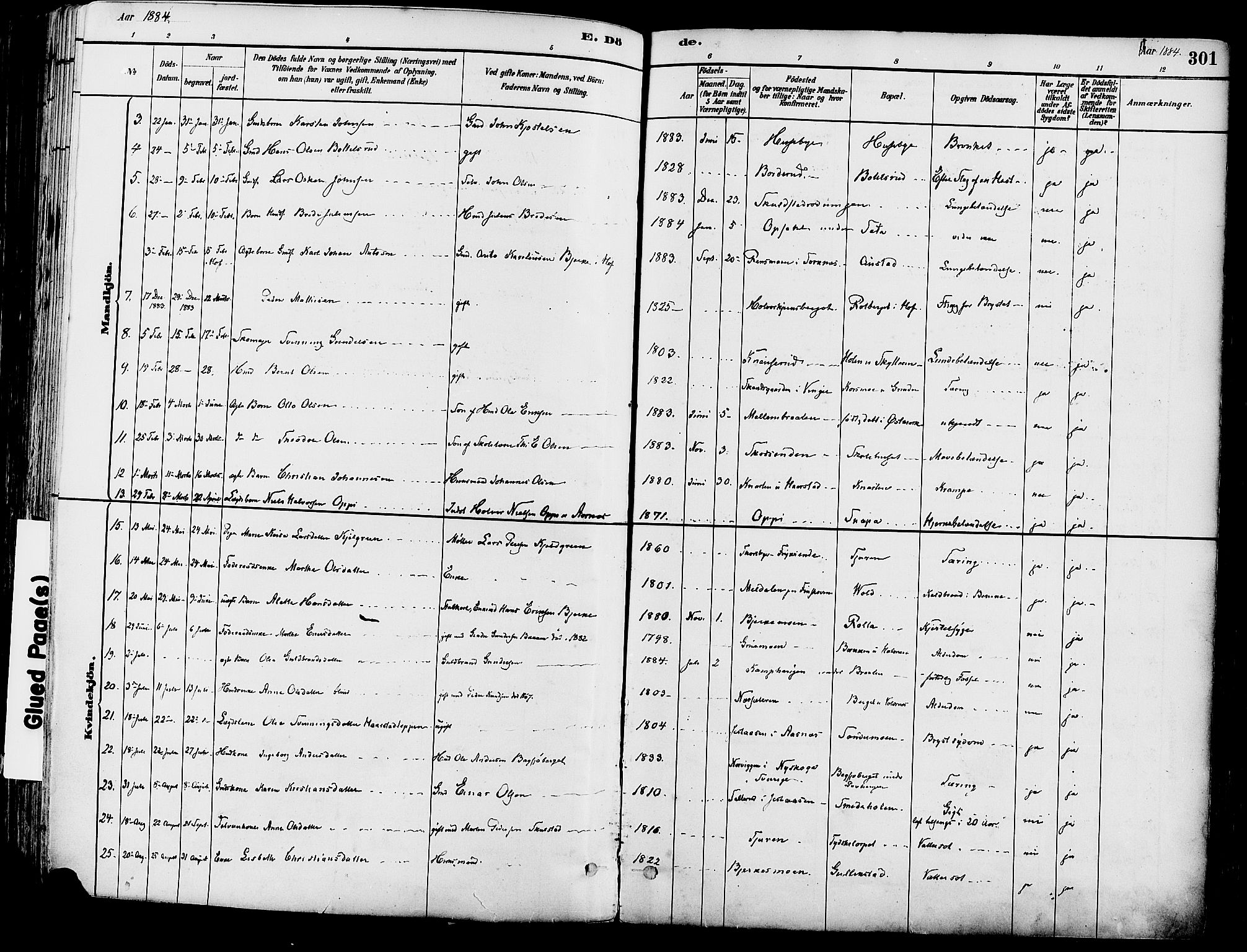 Grue prestekontor, AV/SAH-PREST-036/H/Ha/Haa/L0012: Parish register (official) no. 12, 1881-1897, p. 301