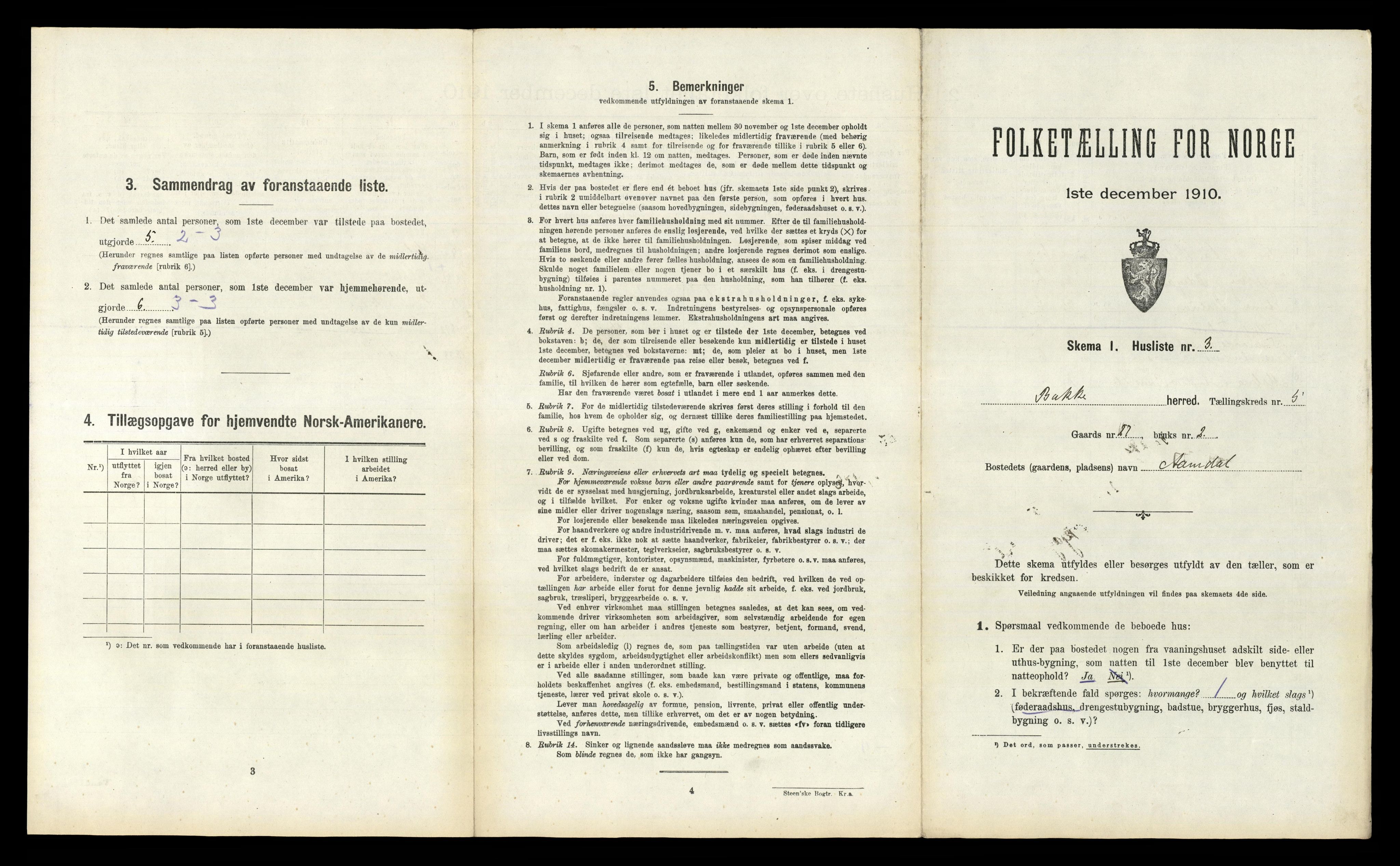 RA, 1910 census for Bakke, 1910, p. 221