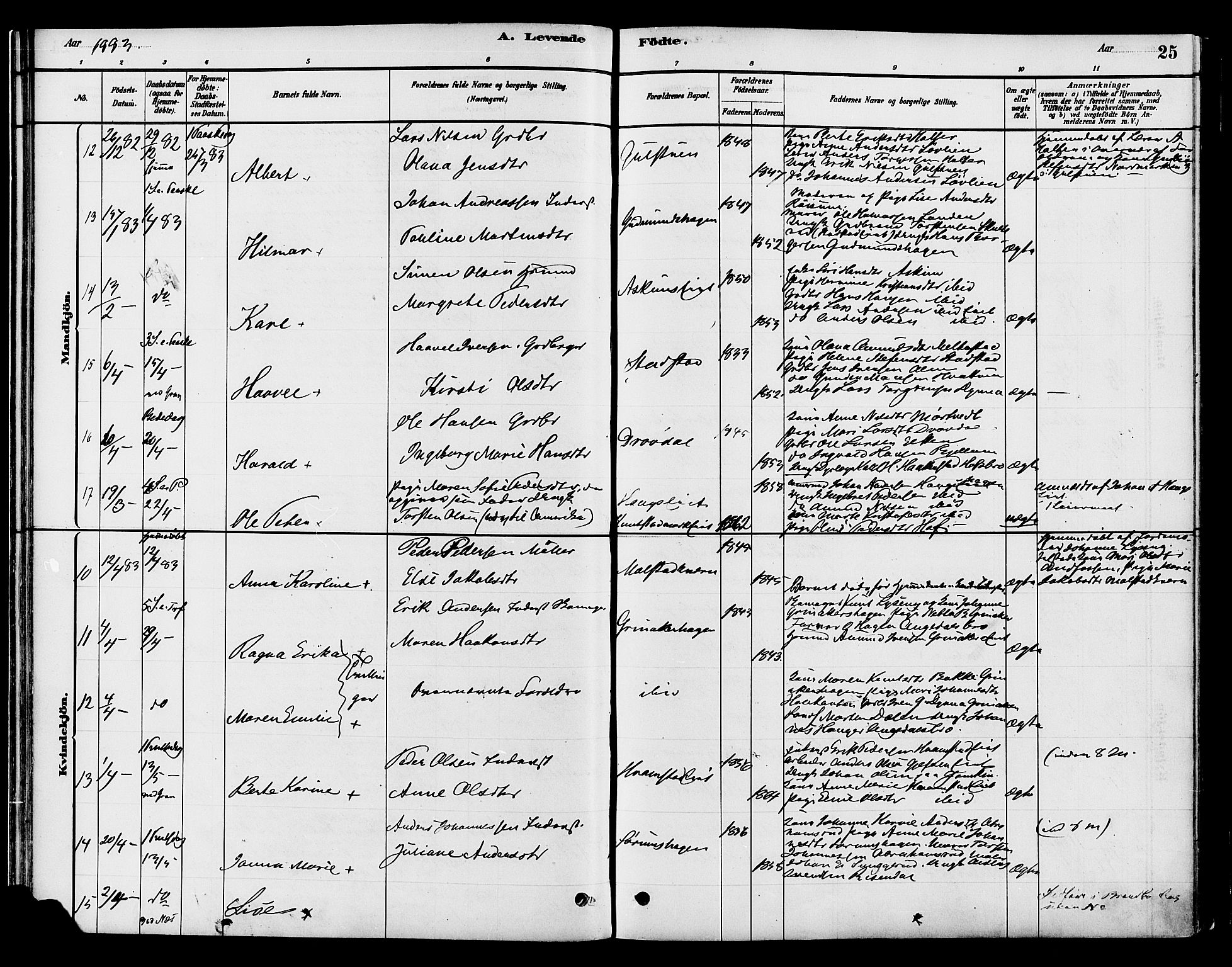 Gran prestekontor, SAH/PREST-112/H/Ha/Haa/L0016: Parish register (official) no. 16, 1880-1888, p. 25