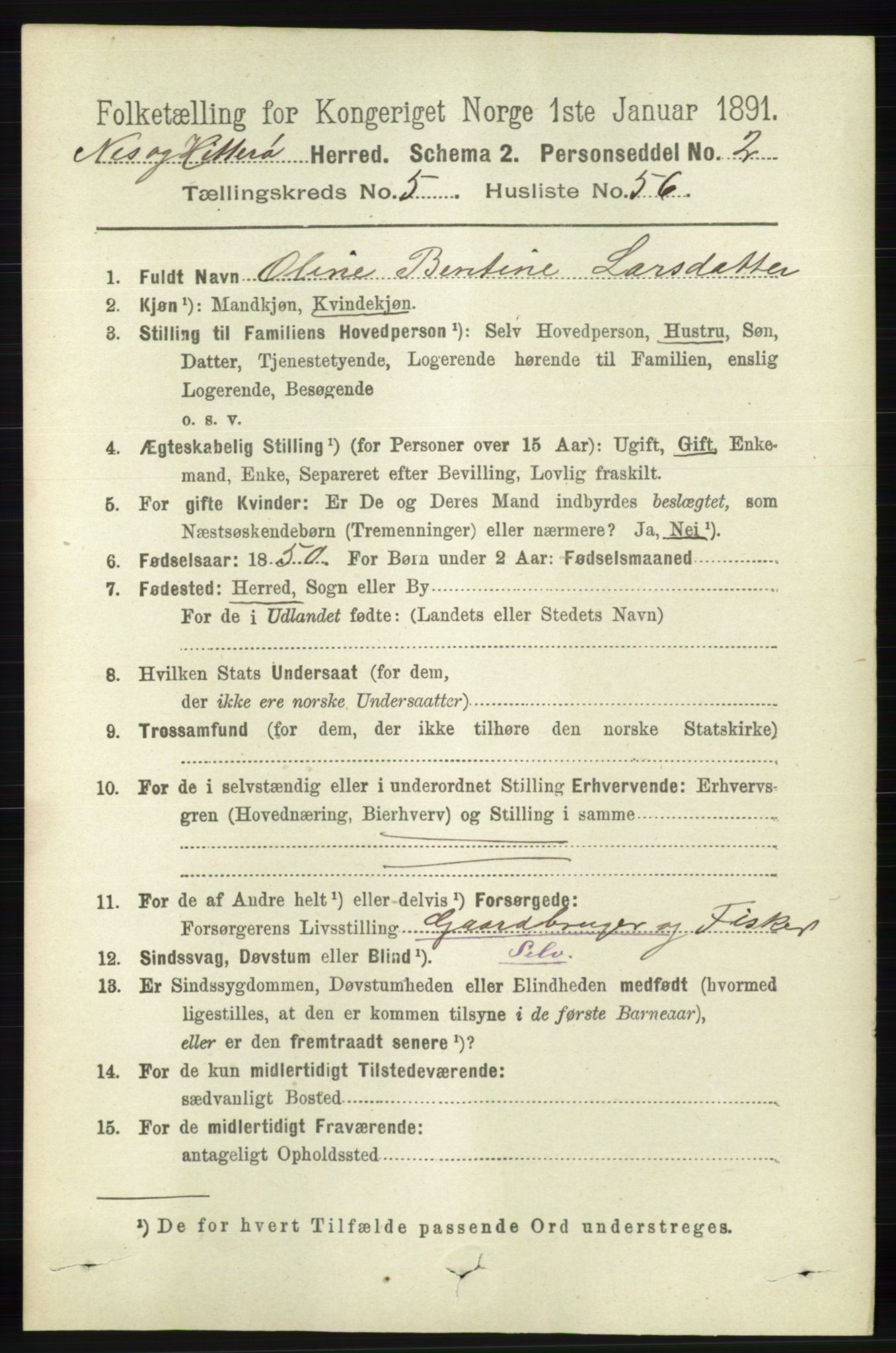 RA, 1891 census for 1043 Hidra og Nes, 1891, p. 2141