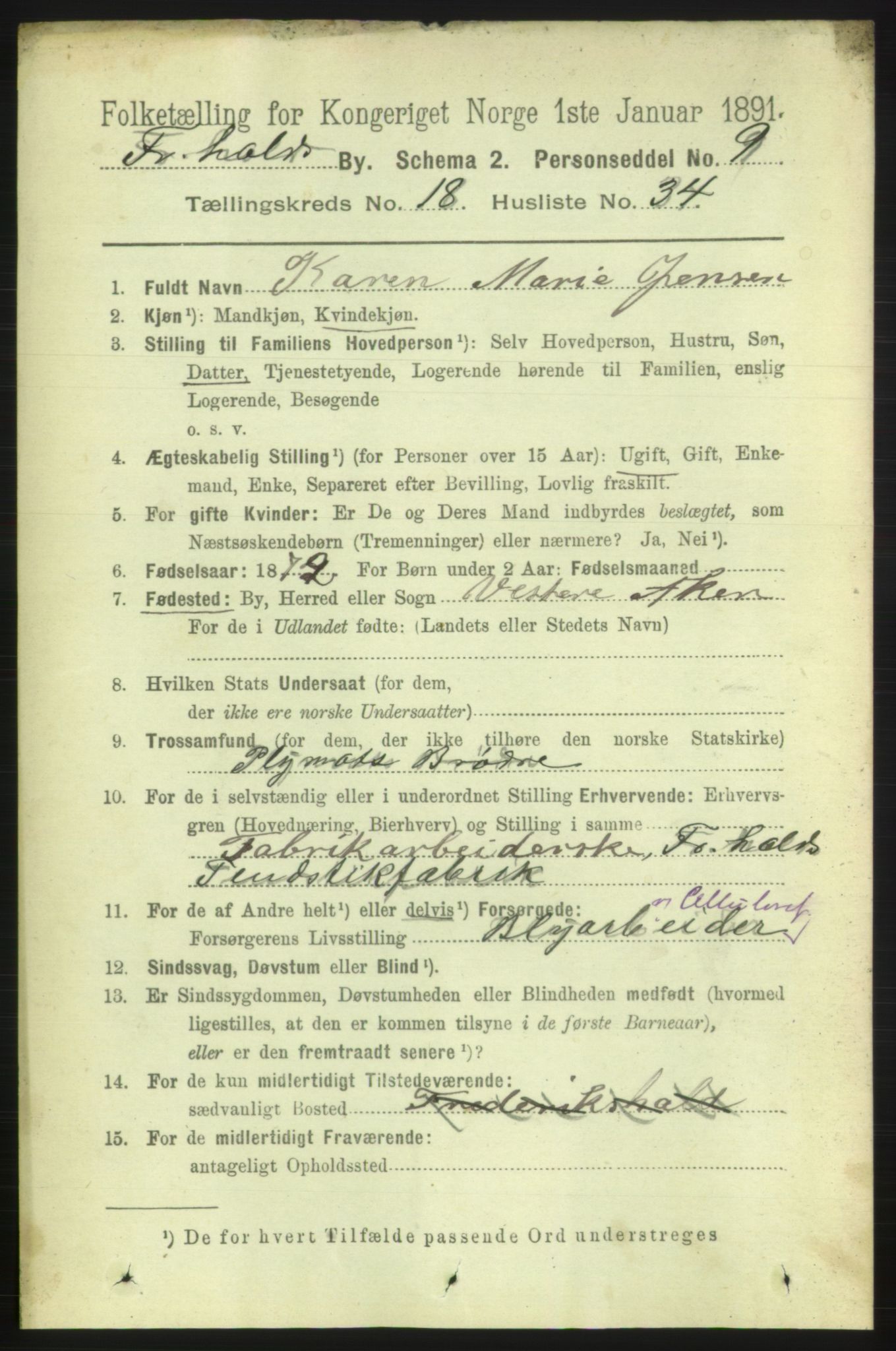 RA, 1891 census for 0101 Fredrikshald, 1891, p. 11851