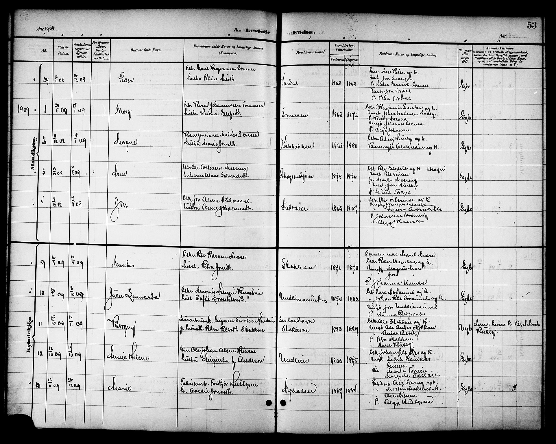Ministerialprotokoller, klokkerbøker og fødselsregistre - Nord-Trøndelag, SAT/A-1458/714/L0135: Parish register (copy) no. 714C04, 1899-1918, p. 53a