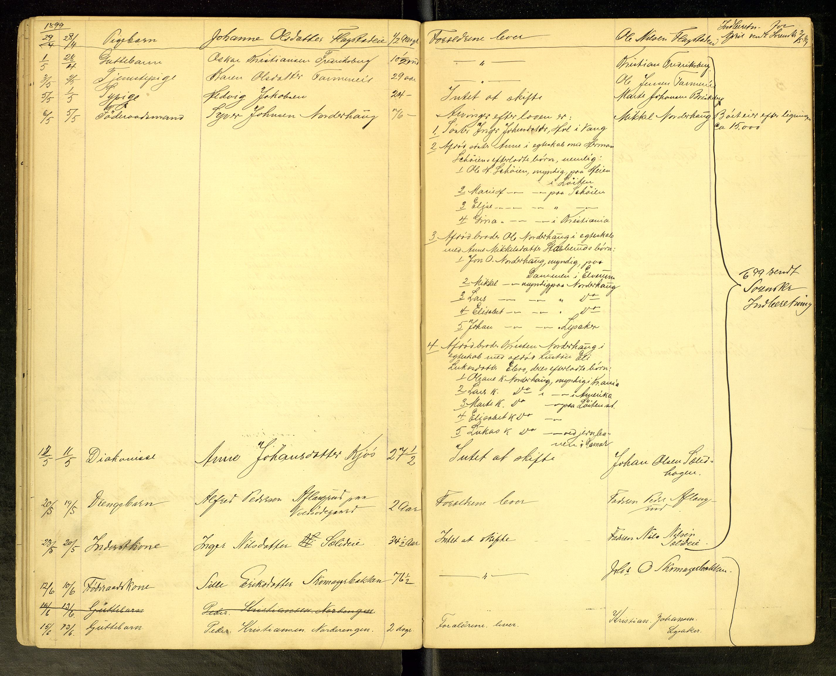 Vang, Hedmark, lensmannskontor, SAH/LHV-018/H/Ha/L0004: Dødsfallsprotokoll, 1894-1900