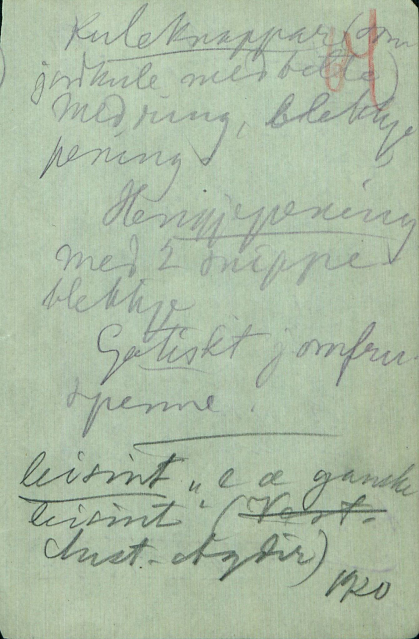 Rikard Berge, TEMU/TGM-A-1003/F/L0014/0031: 471-512 / 501 Lause ark av notisbok, 1919-1921, p. 64
