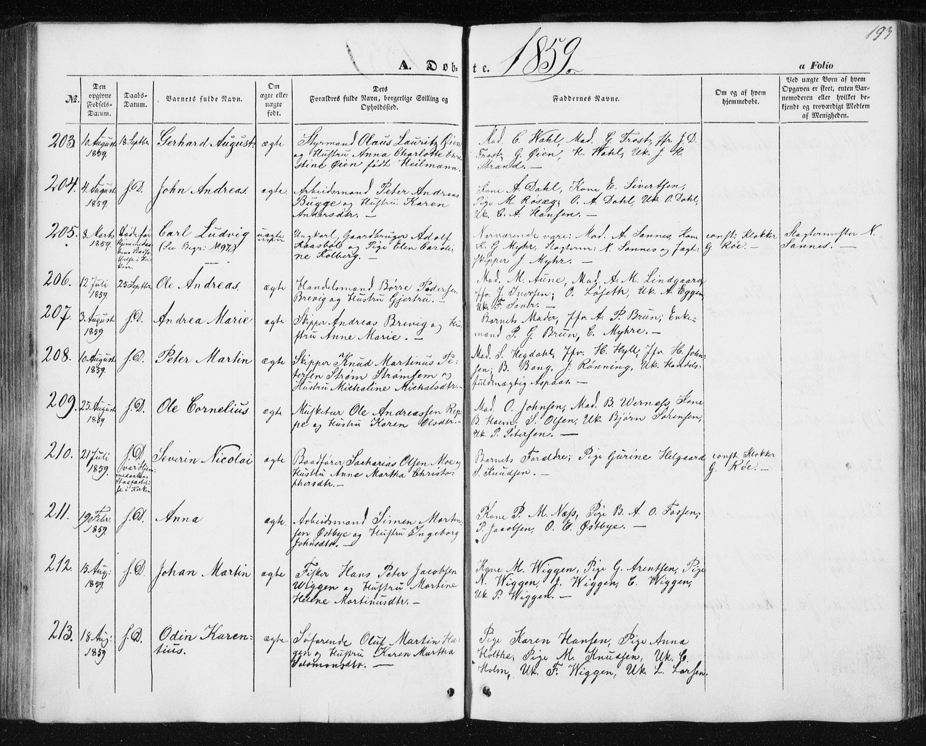 Ministerialprotokoller, klokkerbøker og fødselsregistre - Sør-Trøndelag, SAT/A-1456/602/L0112: Parish register (official) no. 602A10, 1848-1859, p. 193