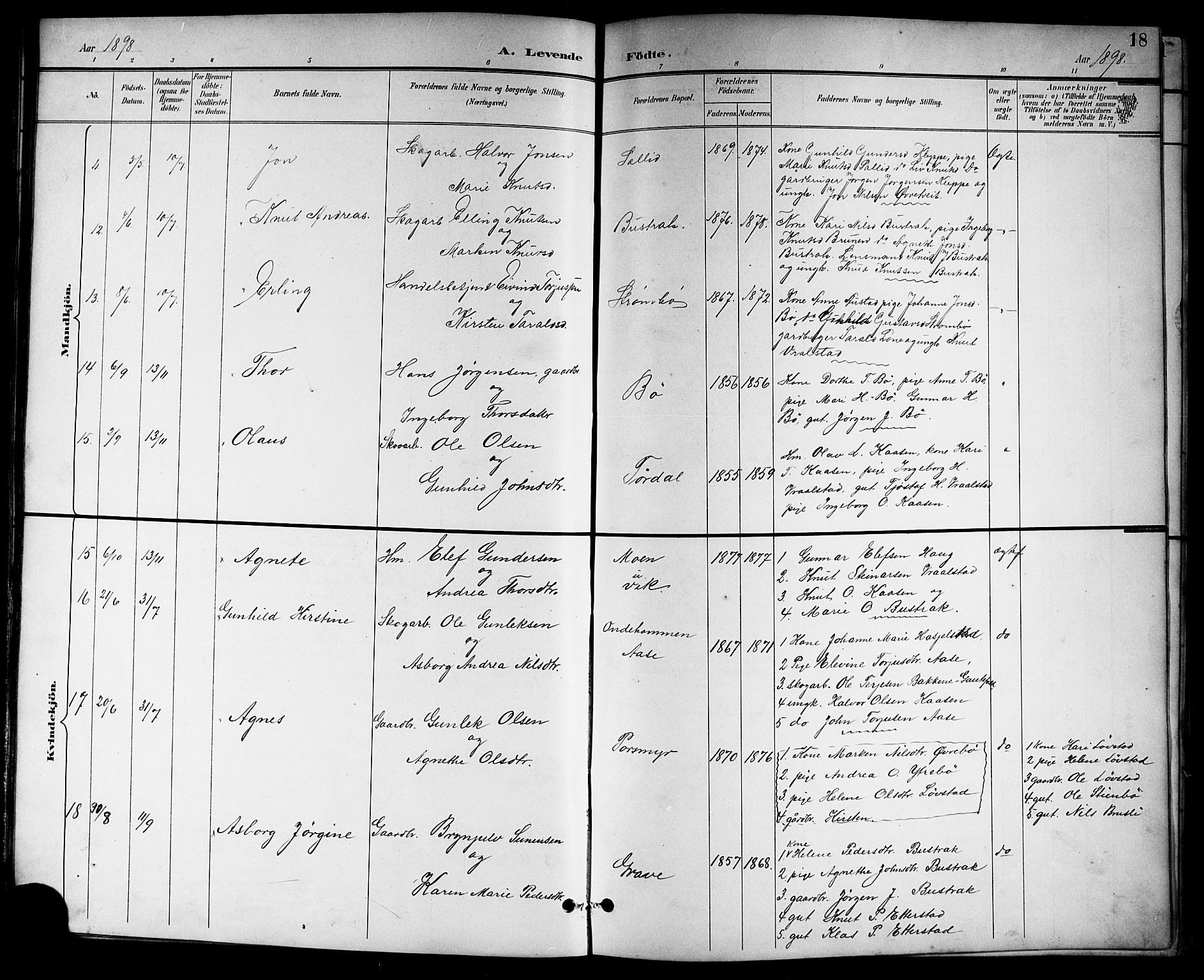 Drangedal kirkebøker, SAKO/A-258/G/Gb/L0002: Parish register (copy) no. II 2, 1895-1918, p. 18