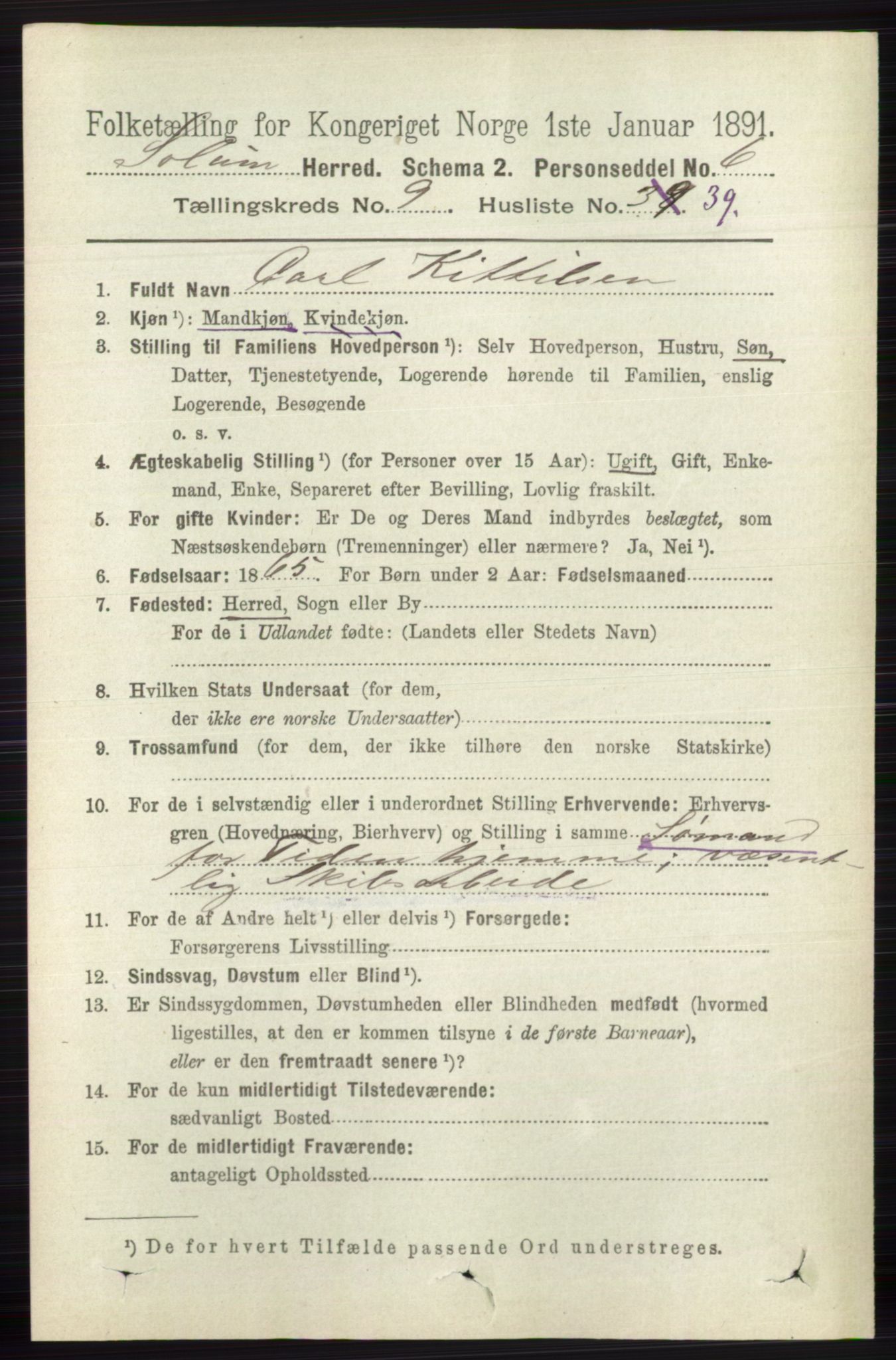 RA, 1891 census for 0818 Solum, 1891, p. 2185